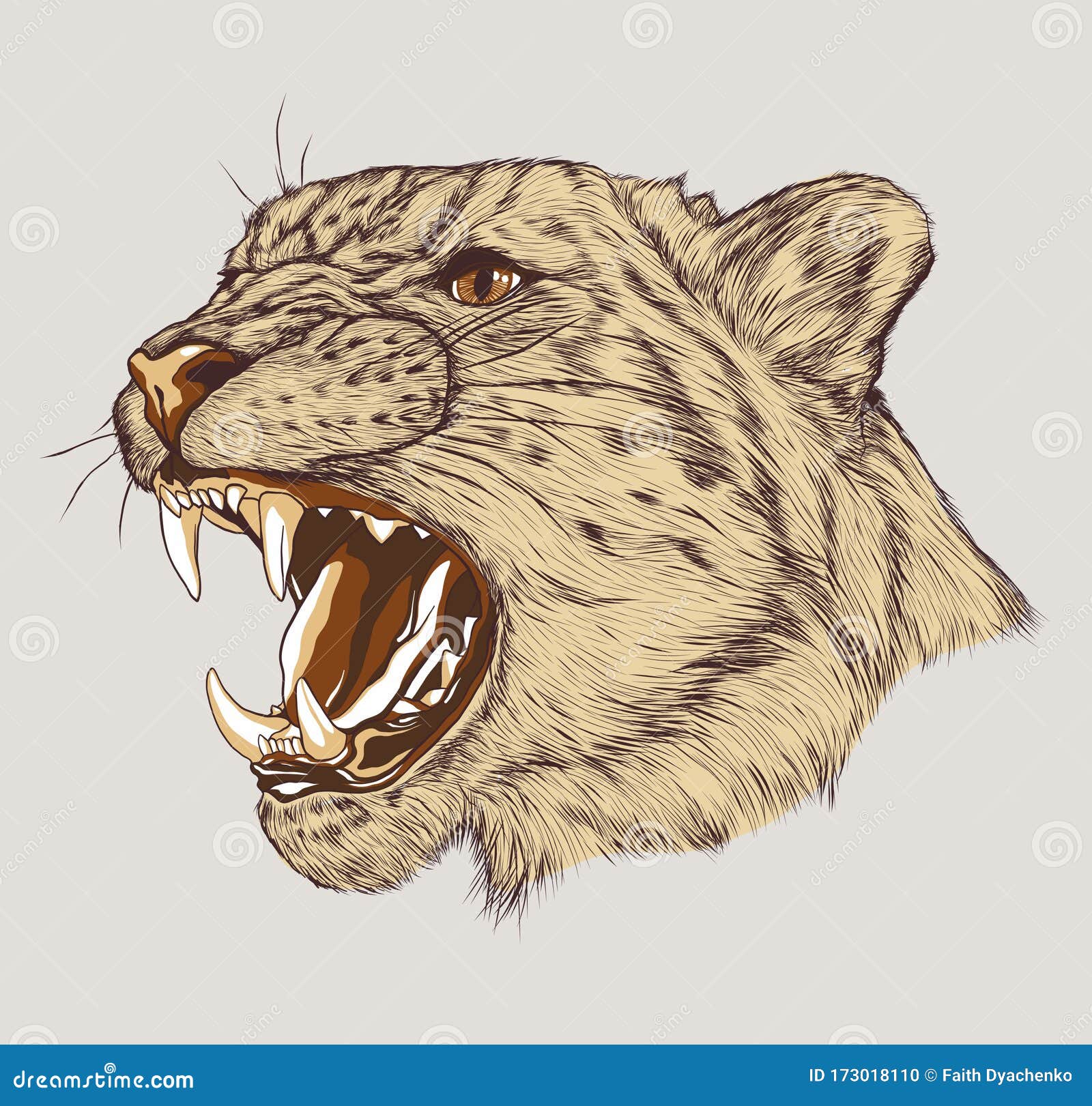 Angry Leopard Muzzle. Portrait of a Snow Leopard Stock Vector - Illustration of face, muzzle: 173018110 Angry Leopard Muzzle. Portrait of a Snow Leopard Stock Vector - Illustration of face, muzzle: 173018110