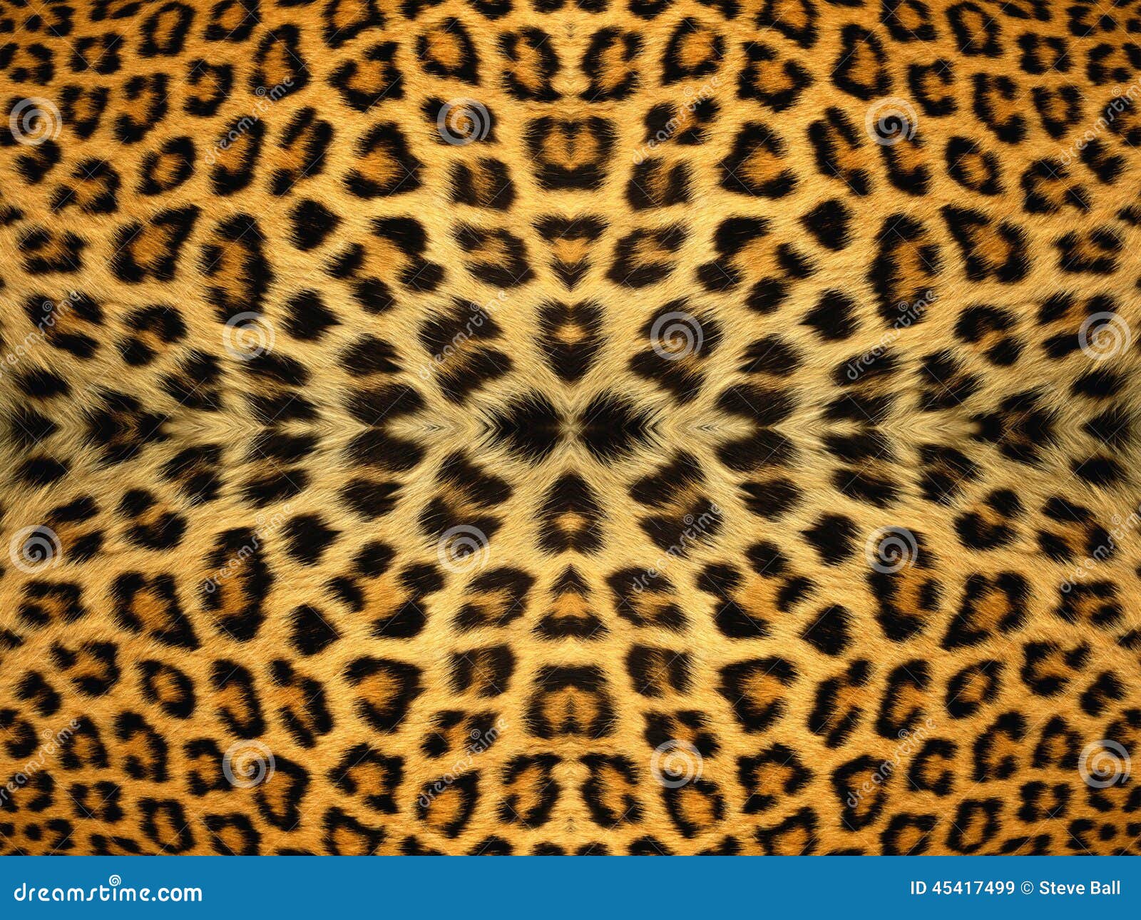 Leopard Fur Pattern stock image. Image of pattern, leopard - 45417499