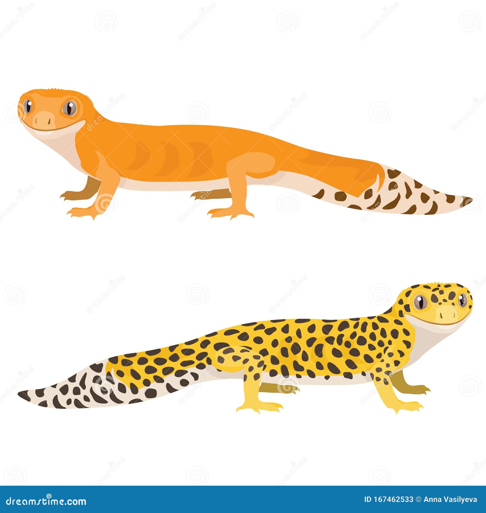Leopard Gecko Vector Illustration. Cartoon Spotted Gecko Stock Vector -  Illustration of background, colorful: 167462533
