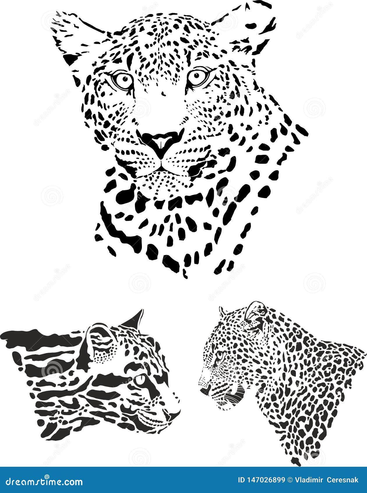 Leopard Heads, Black and White Vector Illustration Stock Vector