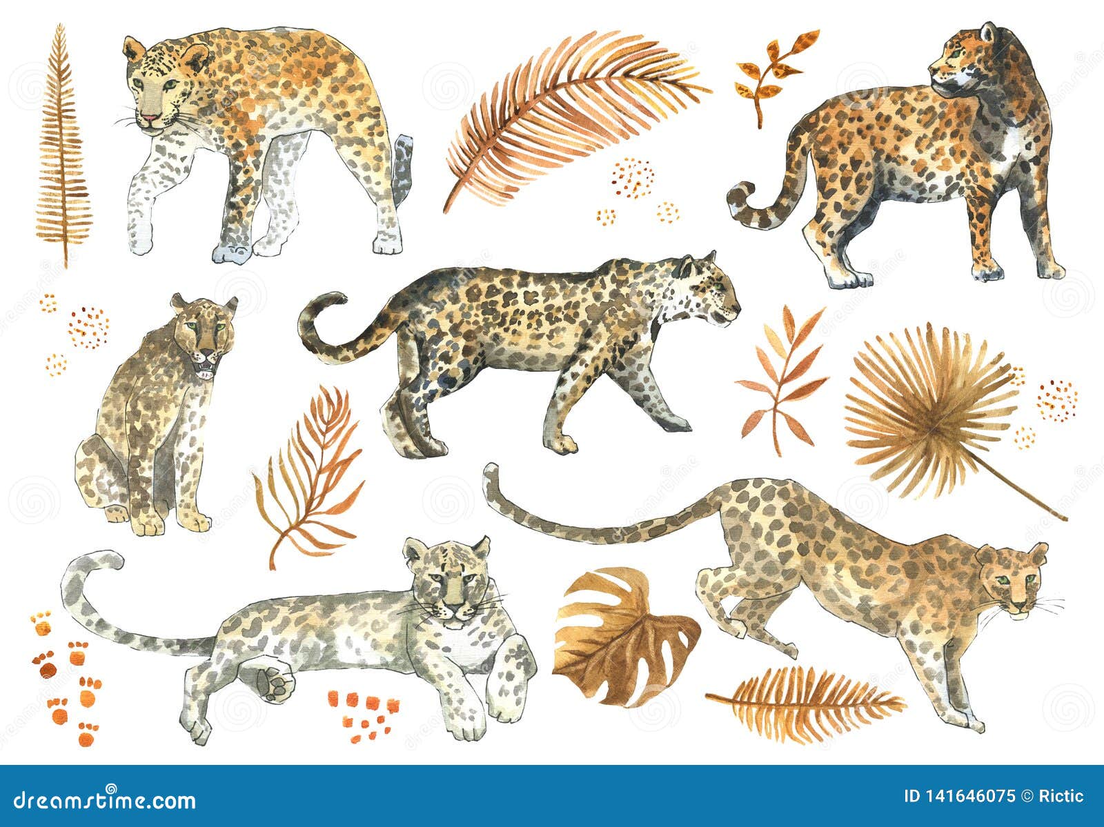 Leopard,jaguar Cat Animal Set with Tropical Golden Leaves Stock Image -  Image of design, wallpaper: 141646075