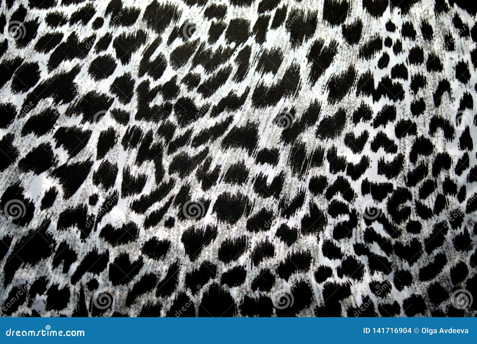 Close-Up Shot of a Black and White Leopard Print · Free Stock Photo