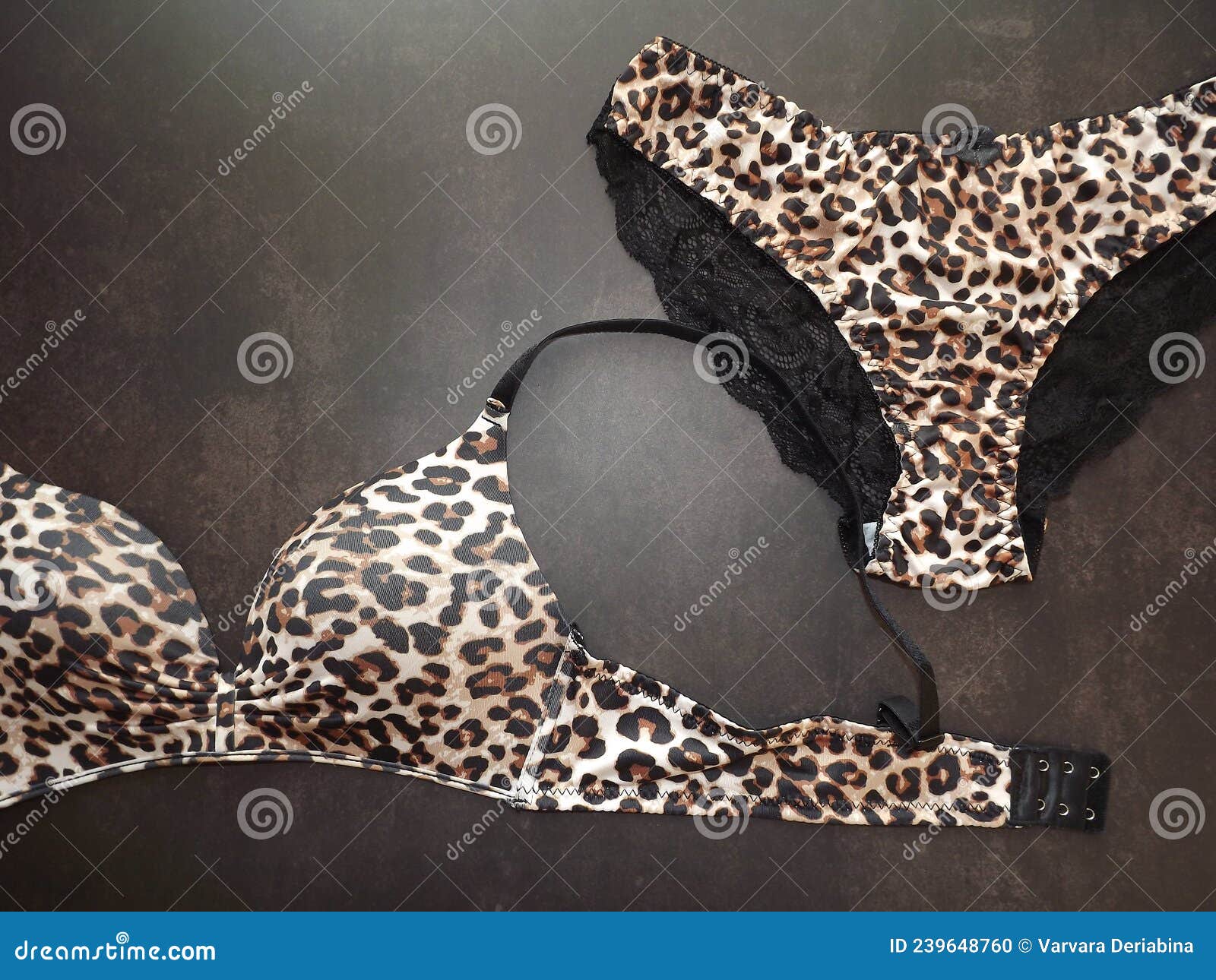 Leopard Lingerie Set with Lace Panties on Black Background Stock Photo -  Image of night, adult: 239648760