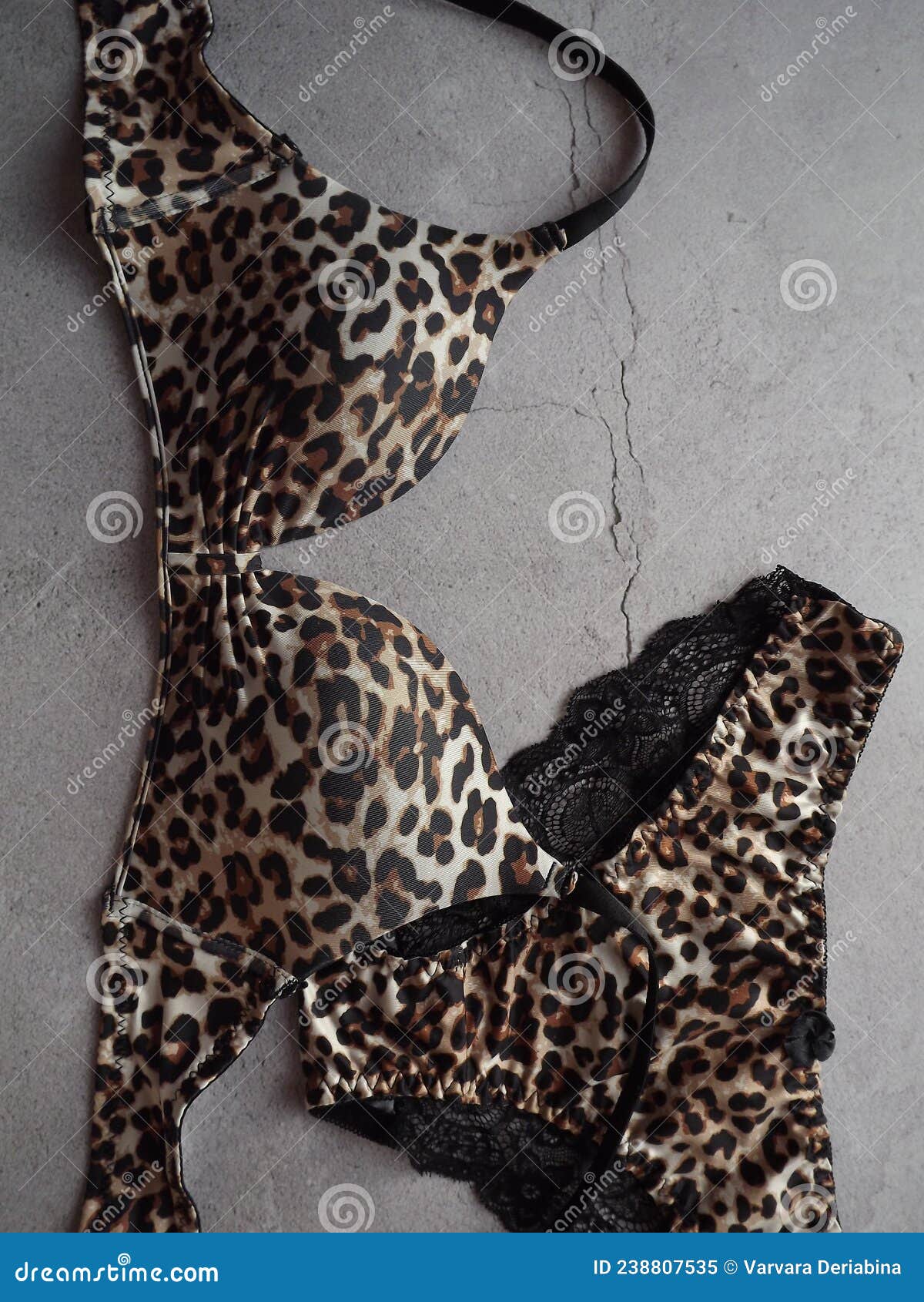 180 Leopard Lingerie Stock Photos - Free & Royalty-Free Stock Photos from  Dreamstime