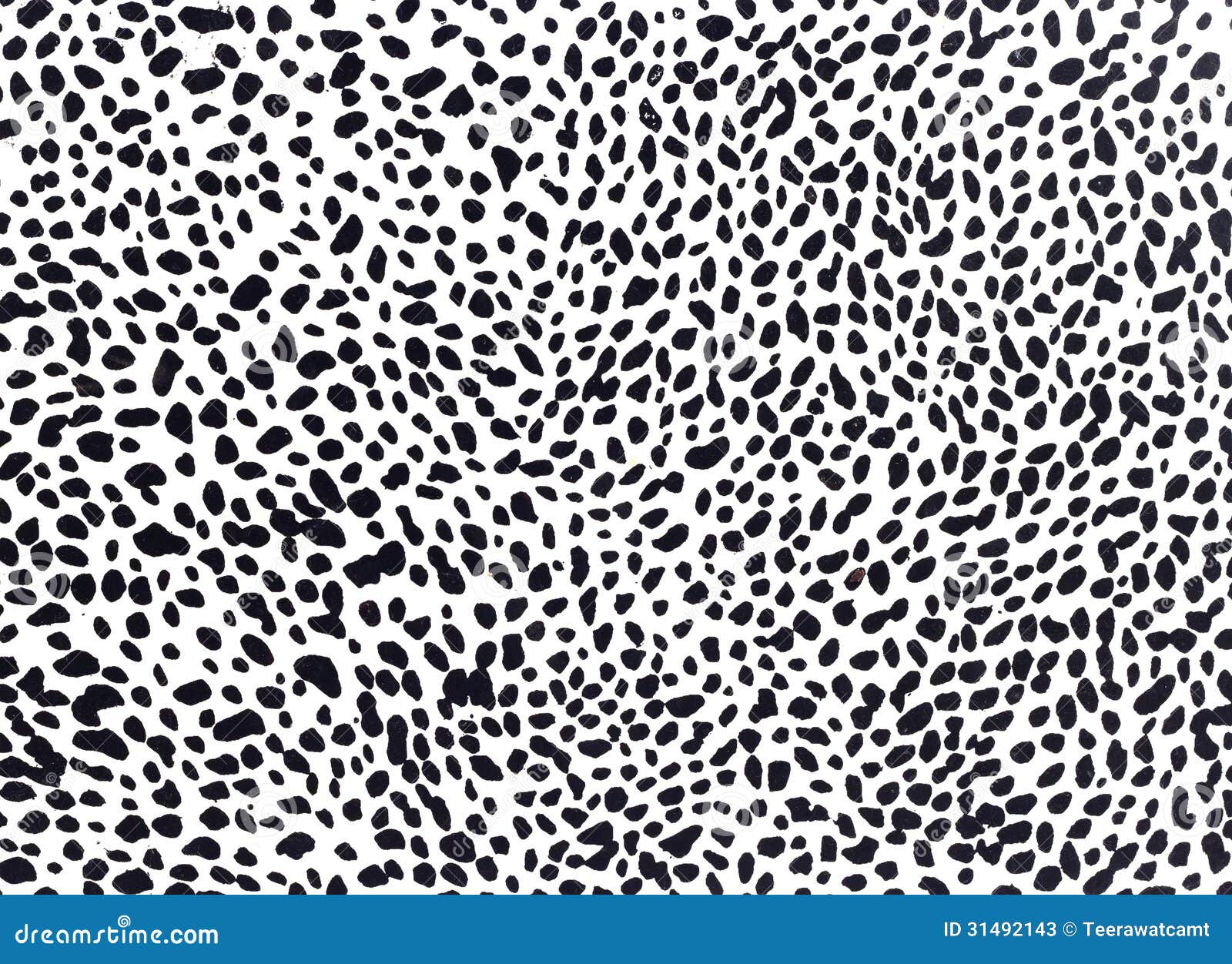 Close-Up Shot of a Black and White Leopard Print · Free Stock Photo