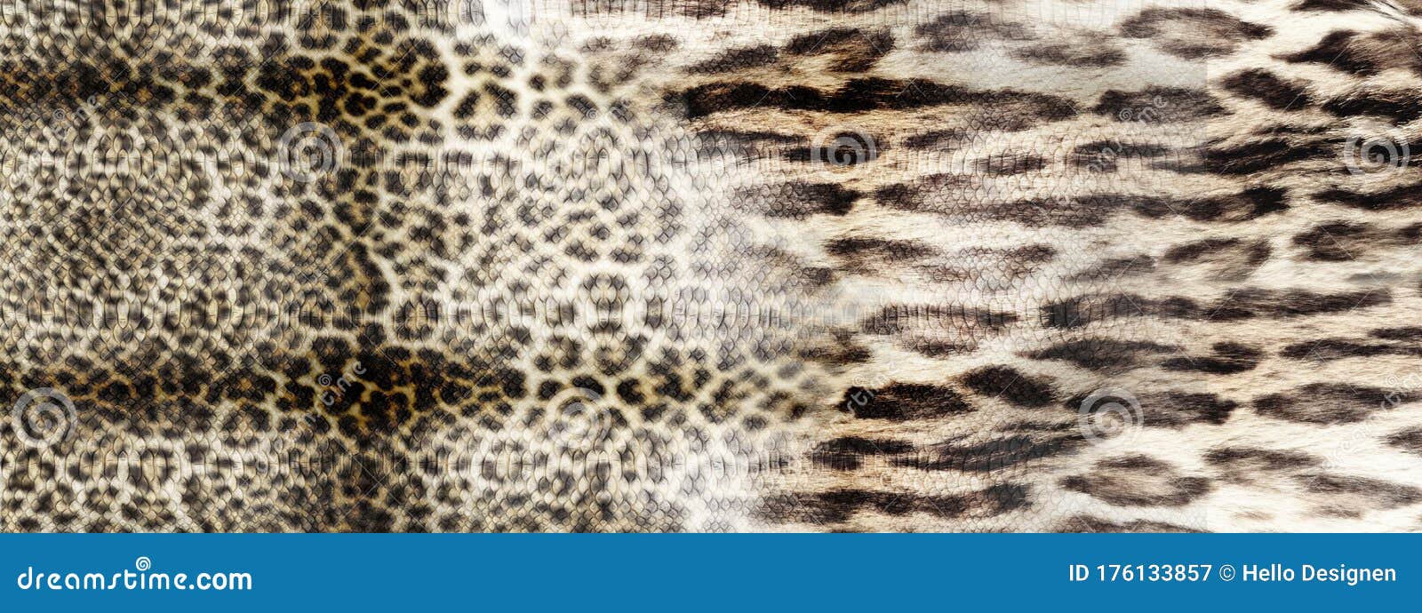 Leopard Pattern. Leopard Print. Leopard Texture. Leopard