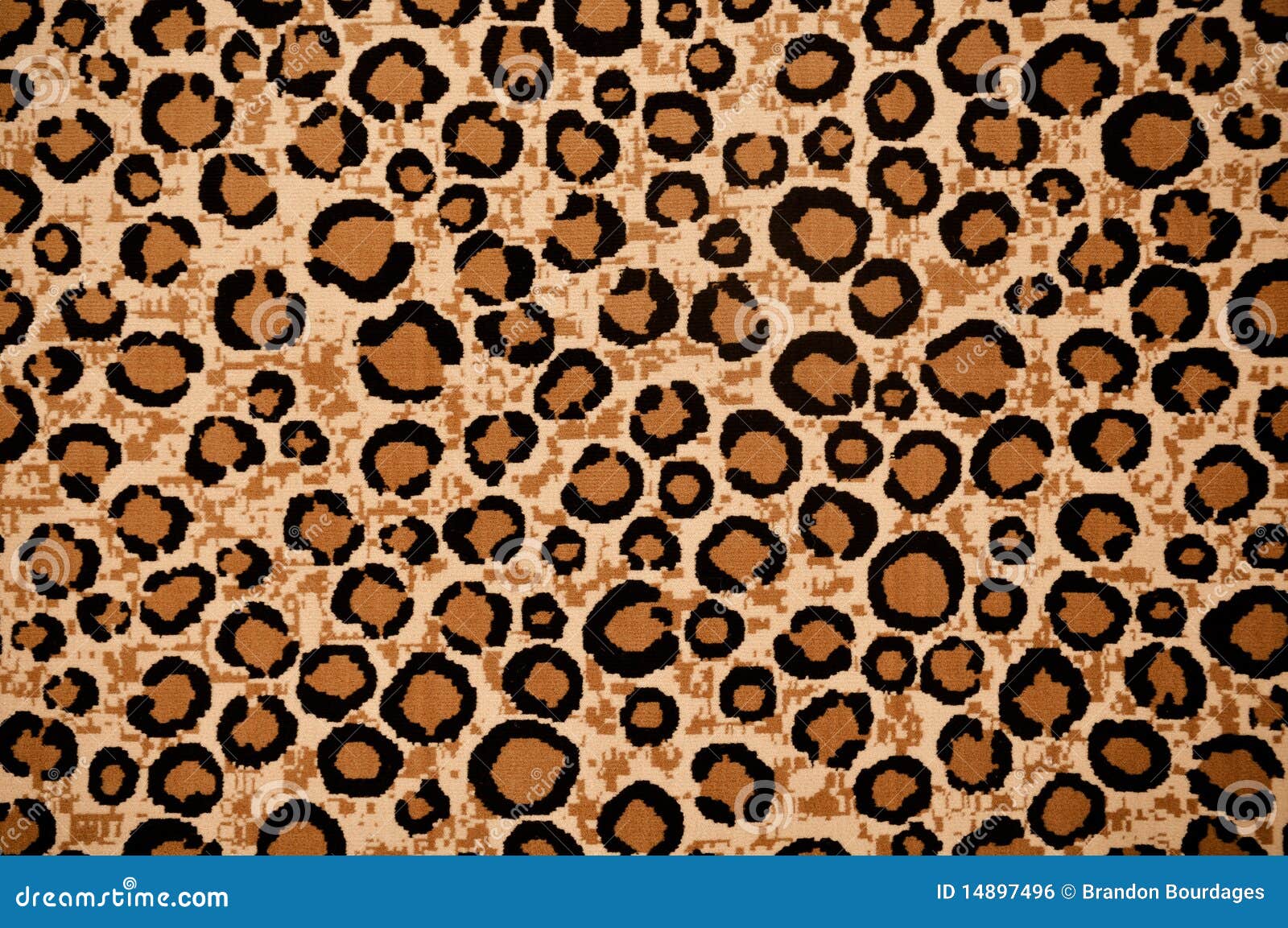 Leopard Print Background stock photo. Image of abstract 14897496