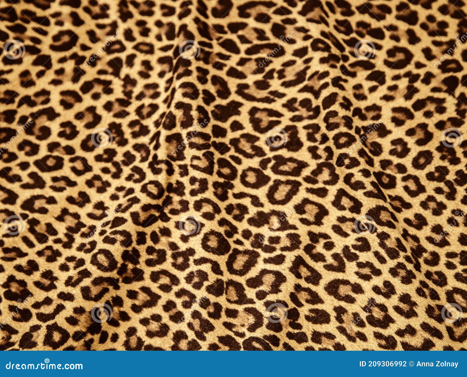 Leopard Print Picture, Leopard Print Image, Cloth Pattern Texture. Stock  Photo - Image of graphic, cheetah: 209306992