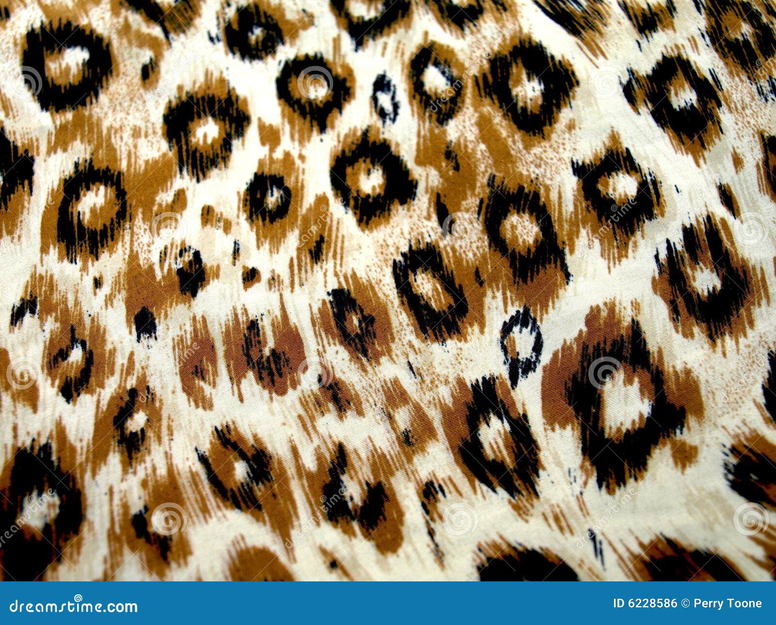 Leopard Skin Design stock photo. Image of style, spot - 6228586