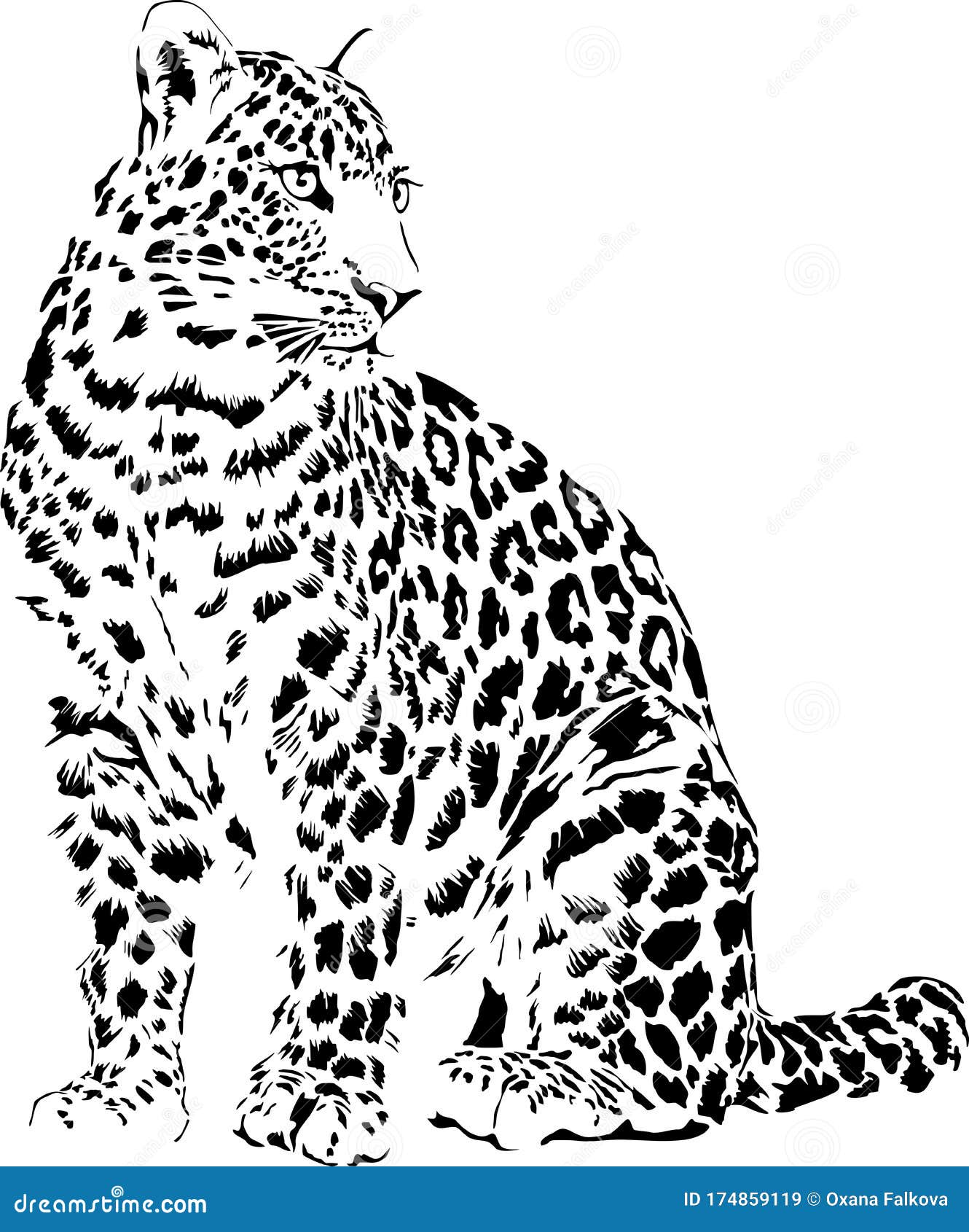 Leopardo ilustración del vector. Ilustración de negro - 174859119