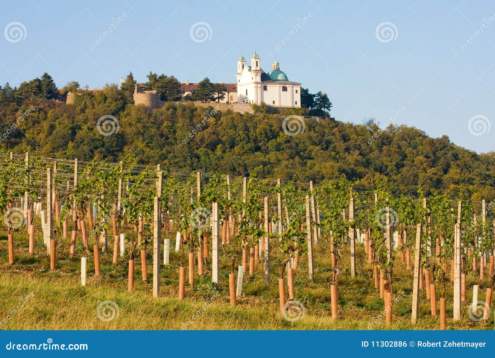 Leopoldsberg Seen from Wine Yard, Vienna Stock Photo Image of leopoldsberg, cobenzl 11302886