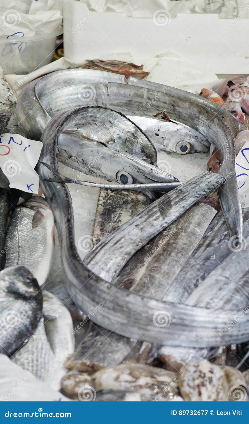 lepidopus caudatus, pesce bandiera in italian, at fish market