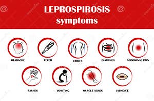 Doc Willie Ong On X Leptospirosis Be Careful Wading In 43 OFF