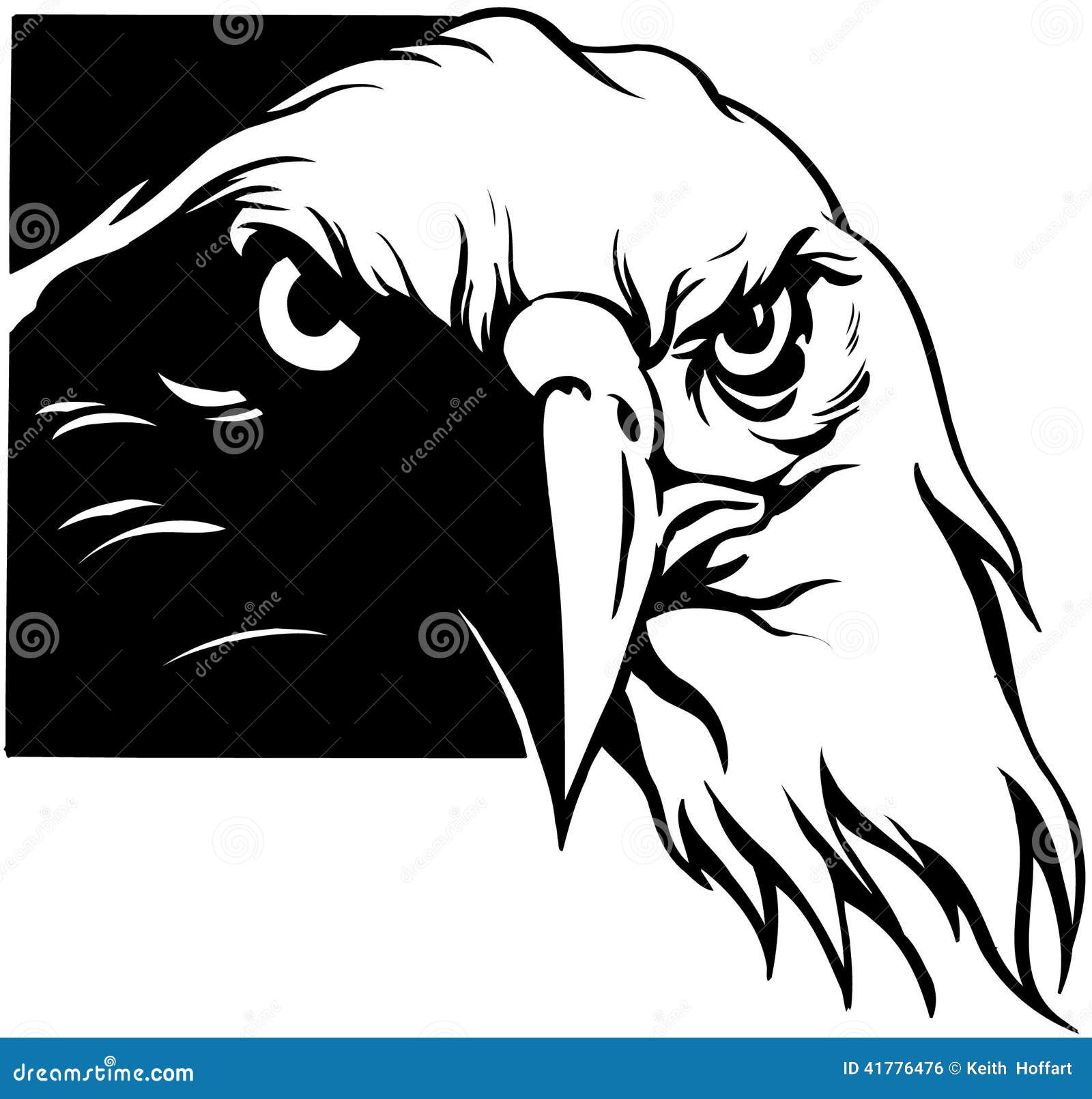 My Image 11