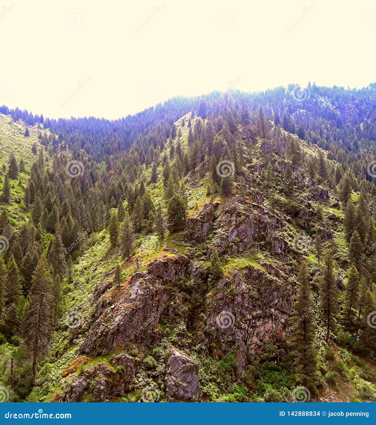 LES Etats-Unis. La nature de falaises de rocksd forrest de courbure d'arbres en fer à cheval de montagnes augmentant dehors