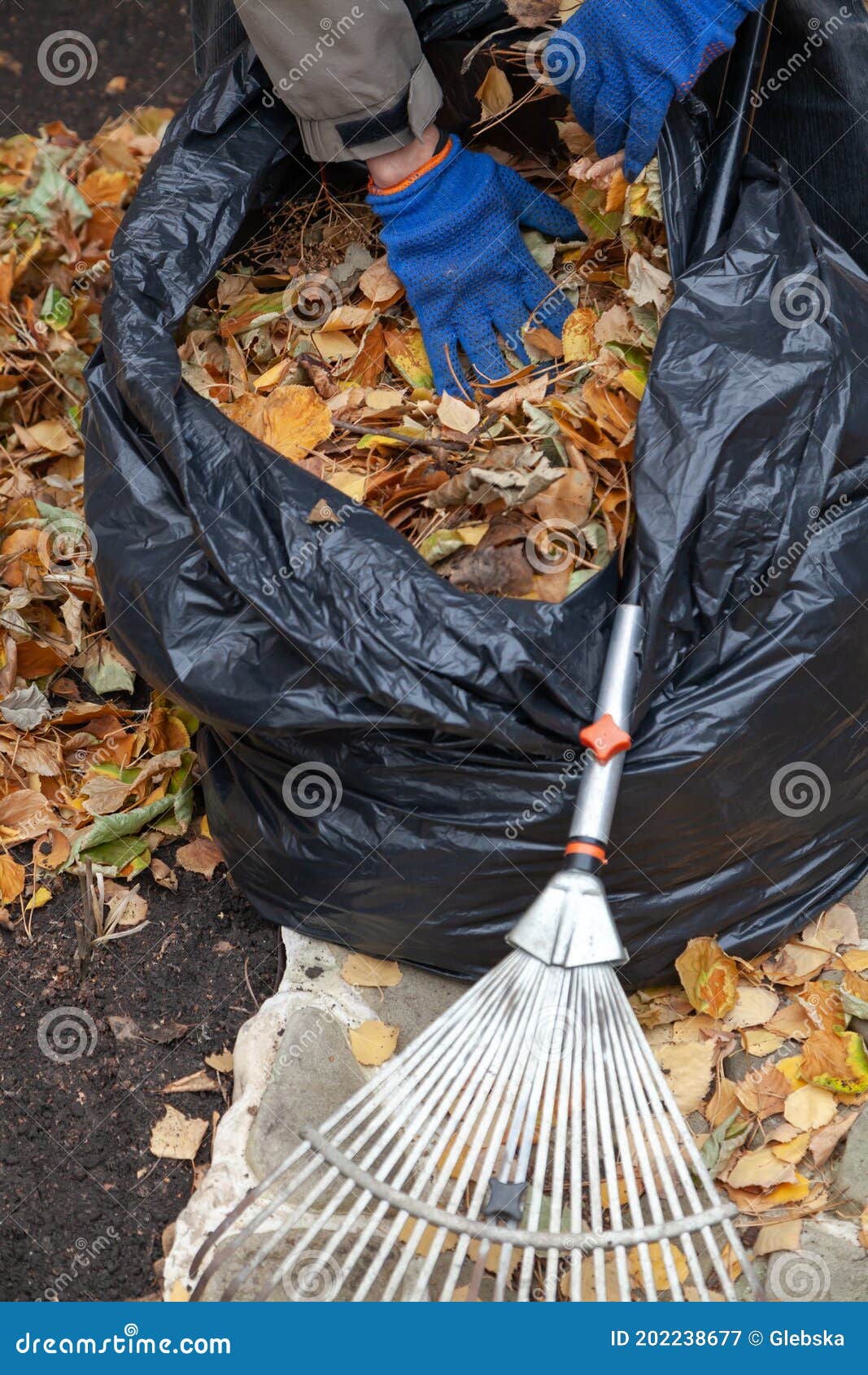 Les Mains S'empilent Les Feuilles Mortes Dans Un Grand Sac Gros Plan Image  stock - Image du pratique, élément: 202238677