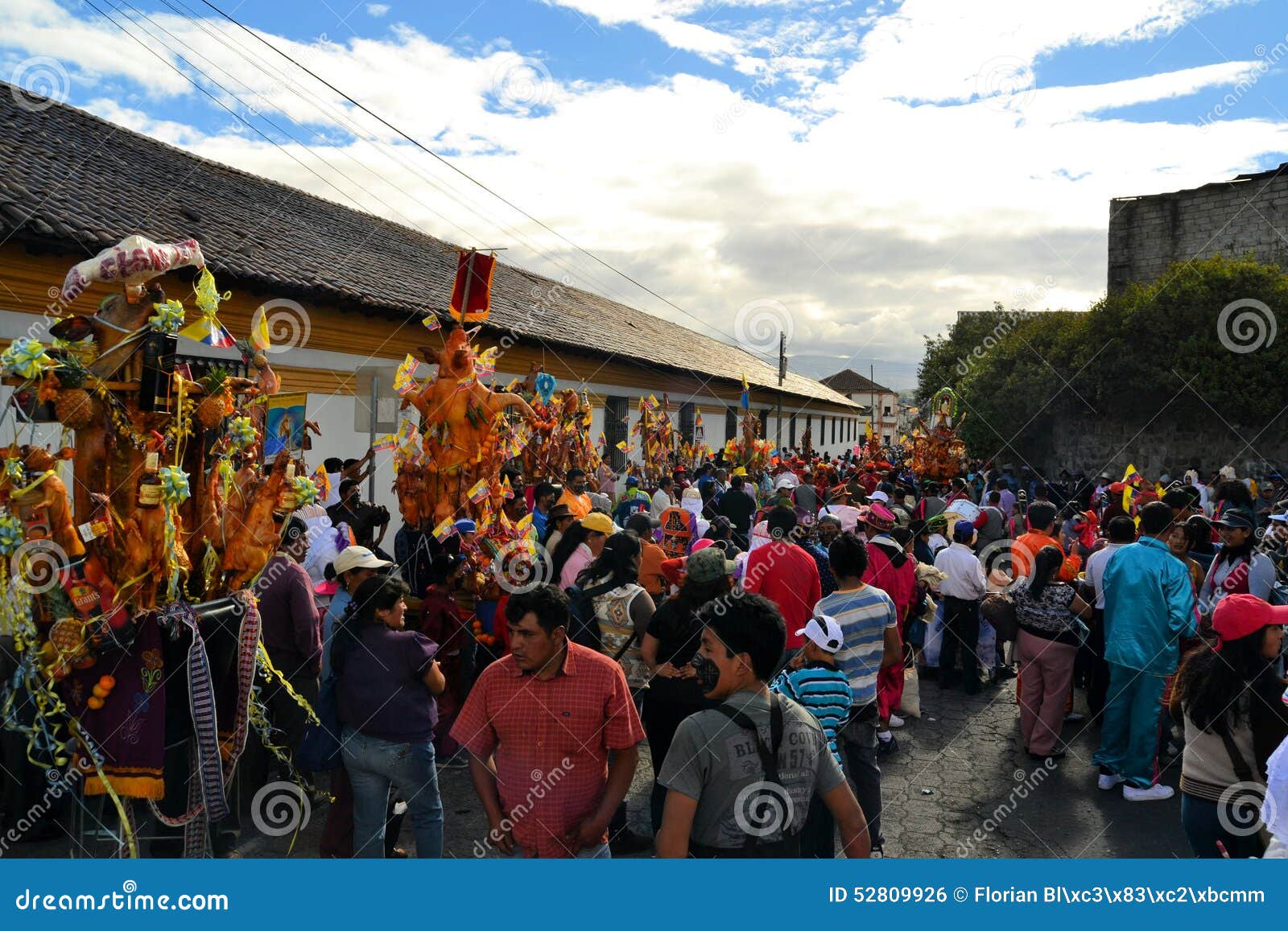 Les porcs ont orné avec des fruits, spiritueux, drapeaux et. Latacunga, Equateur le 30 septembre 2012 : Les porcs non identifiés de défilé de participants ont orné avec des fruits, des spiritueux, des drapeaux et des cobayes au festival traditionnel de La Fiesta de la Maman Negra Maman Negra Festival est un mélange des influences indigènes, d'Espagnol et d'Africain et célèbre le saint patron Virgen de la Merced arrêtant censément l'éruption 1742 du volcan voisin le Cotopaxi, laissant Latacunga indemne