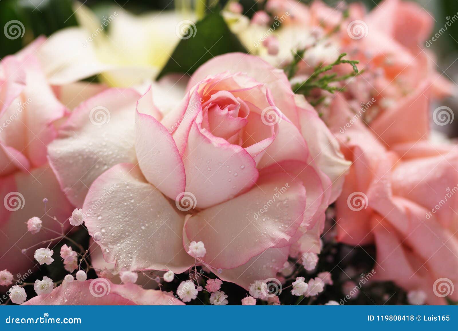 Les Roses Blanches Avec Le Rose Encadre Le Bouquet Photo stock - Image du  fleurs, roses: 119808418