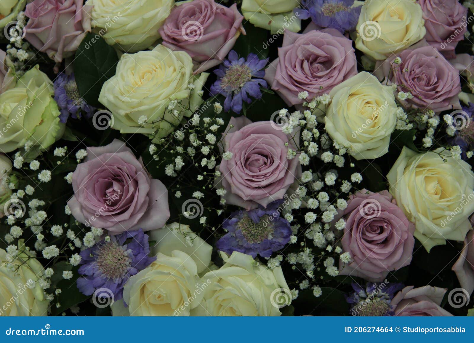 Les Roses De Mariage Mauve Et Blanc Photo stock - Image du flore, fleurs:  206274664