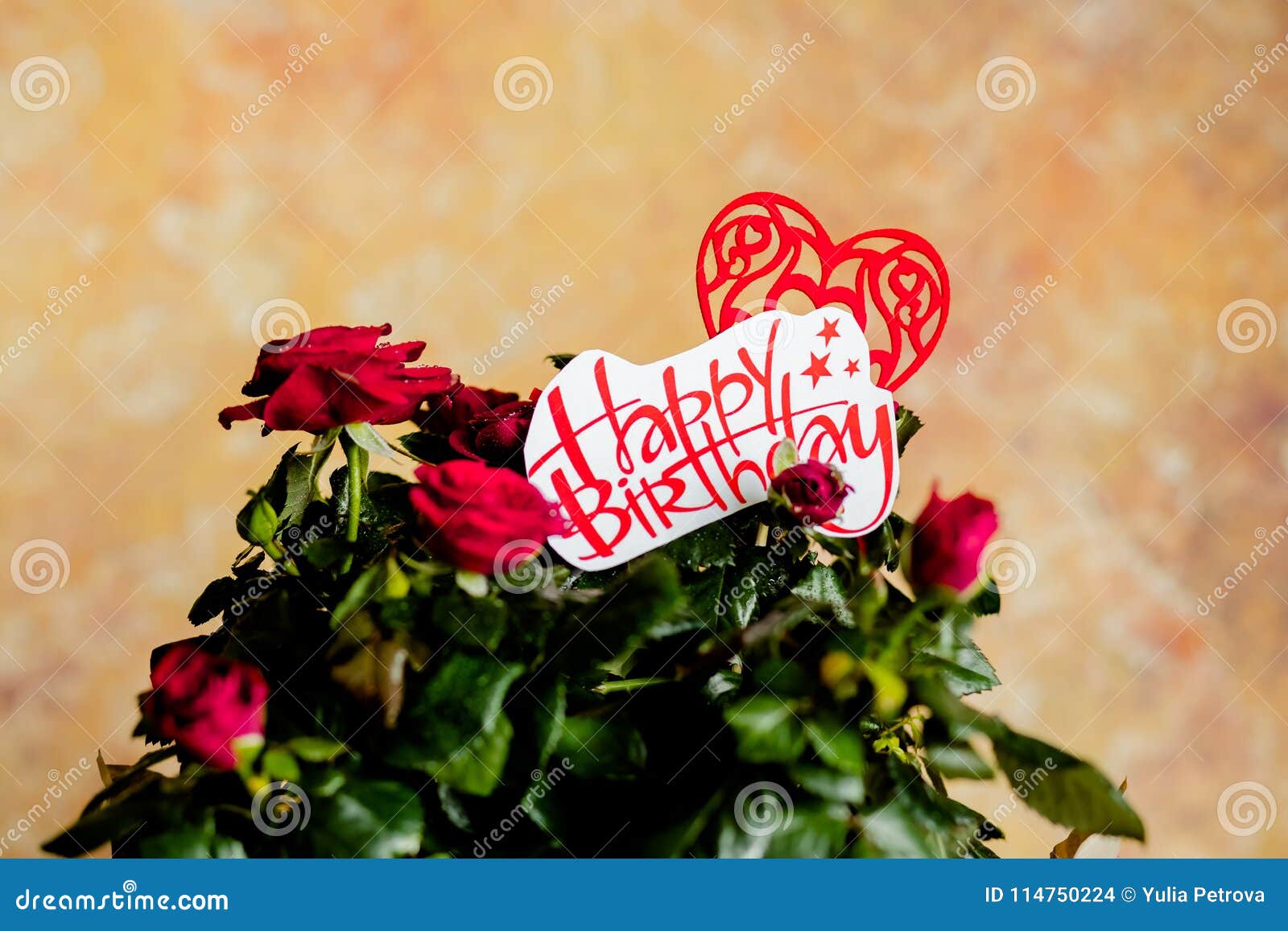Les Roses Rouges Fleurit Avec Le Coeur Rouge Sur Le Fond En Bois Carte D Anniversaire Avec La Belle Rose De Rouge Fleurs Et Messa Photo Stock Image Du Fleurs Concept Les Roses Rouges Fleurit Avec Le Coeur Rouge Sur Le Fond En Bois Carte D Anniversaire Avec La Belle Rose De Rouge Fleurs Et Messa Photo Stock Image Du Fleurs Concept