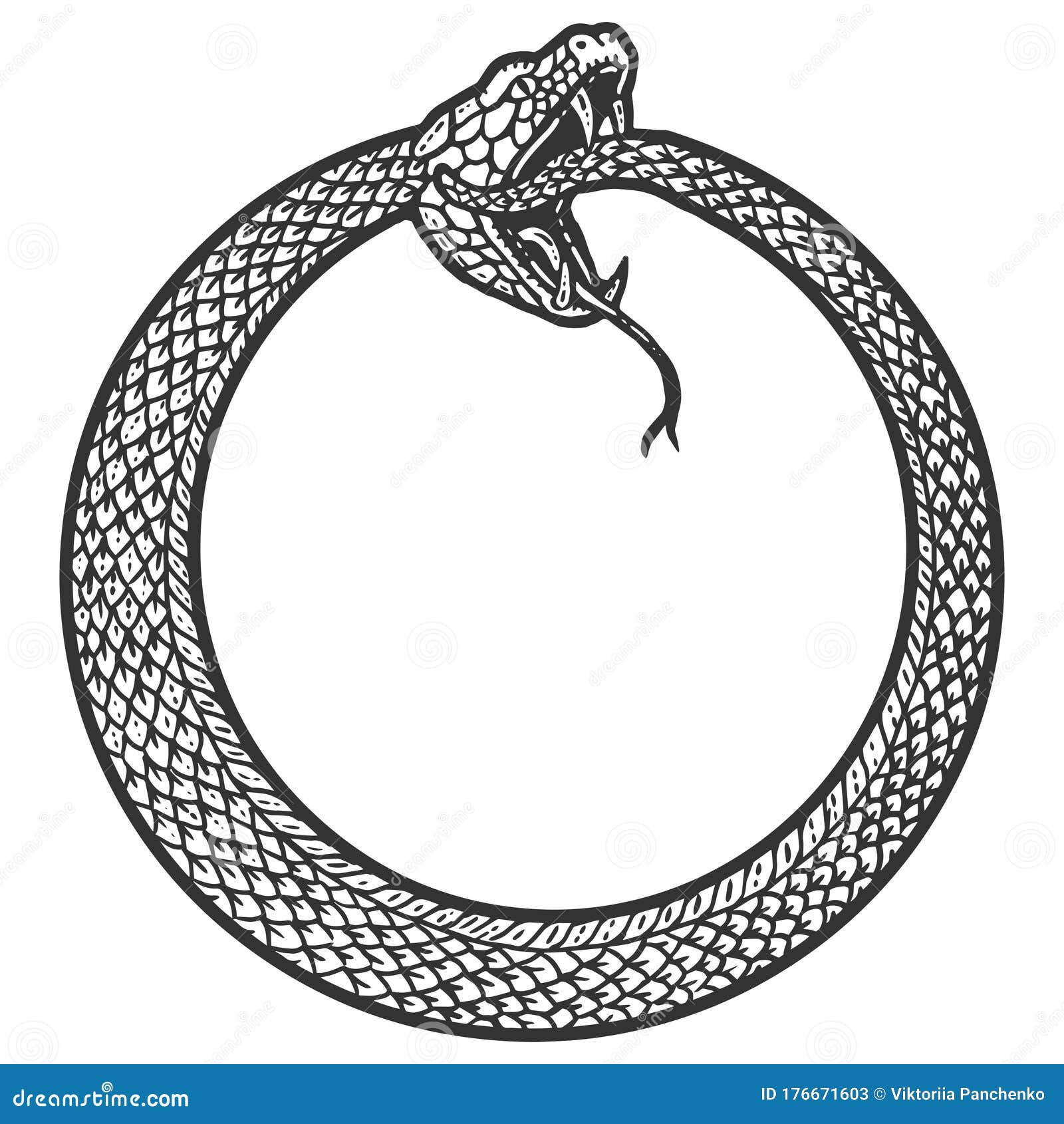 Les Uroboros Serpentent Enroule Dans Une Bague Qui Se Mord La Queue Panneau D Imitation De Zero Photo Tiree Par La Main En Noir Illustration De Vecteur Illustration Du Eternite Histoire