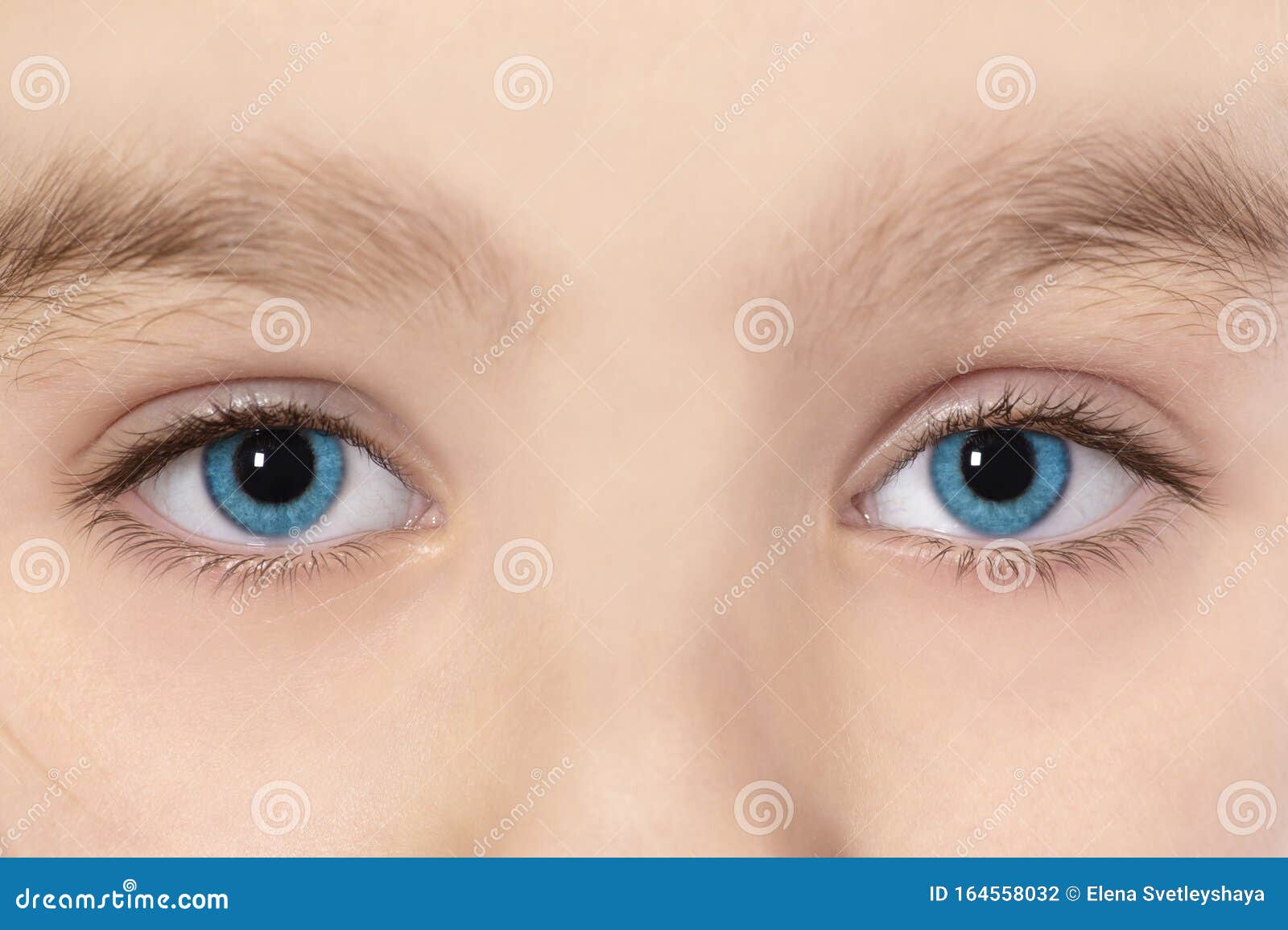 Les Yeux Bleus De La Belle Petite Fille Macro Photo Photo Stock Image Du Fuselage Assez Les Yeux Bleus De La Belle Petite Fille Macro Photo Photo Stock Image Du Fuselage Assez