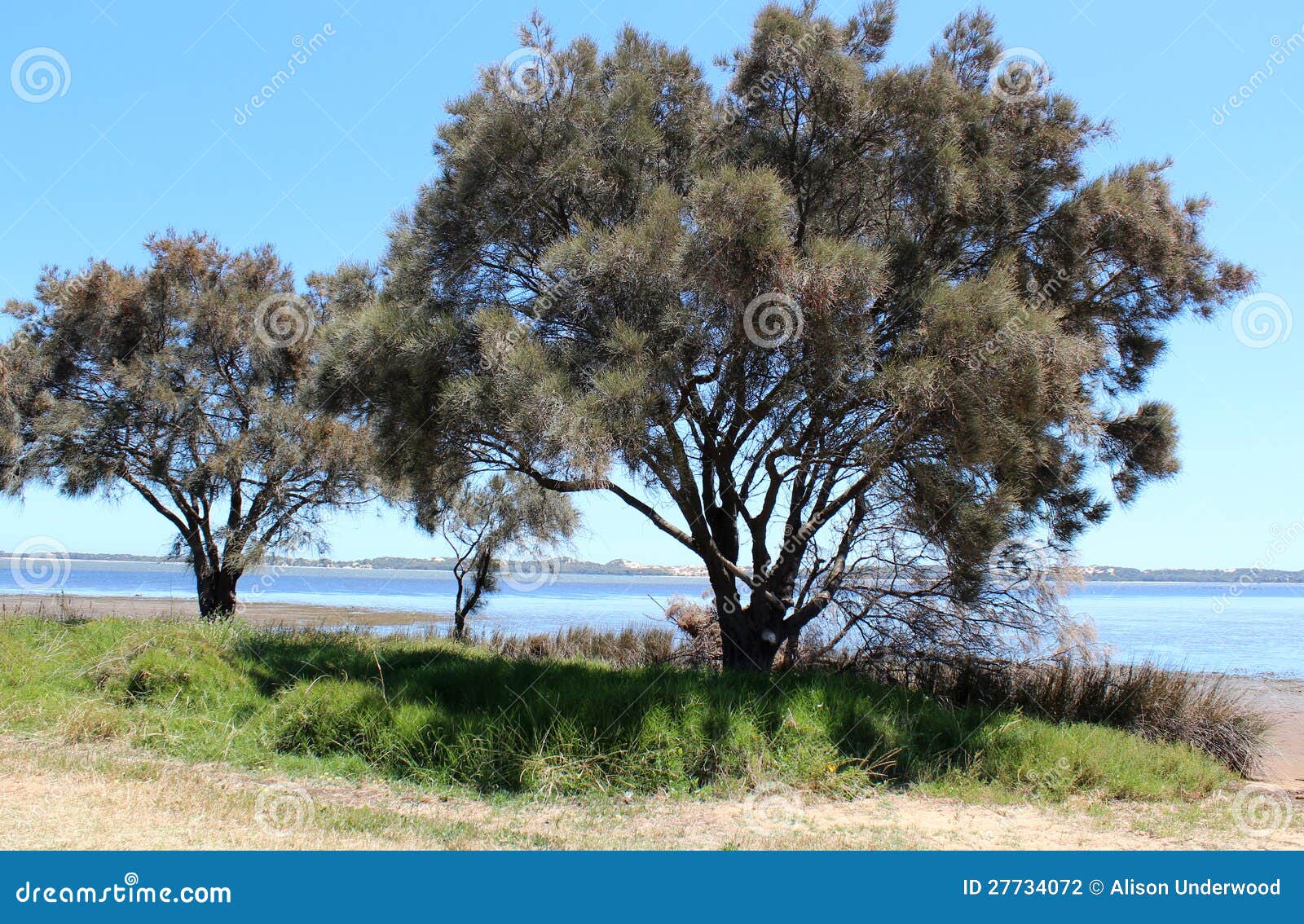 Leschenault Estuary Bunbury West Aust Stock Photo Image of bunbury