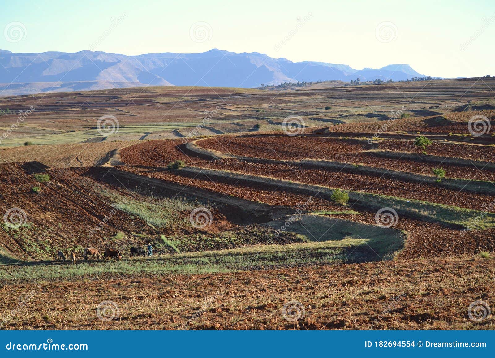 lesotho is the southernmost inland state in the world and impresses with its vast wealth of species.