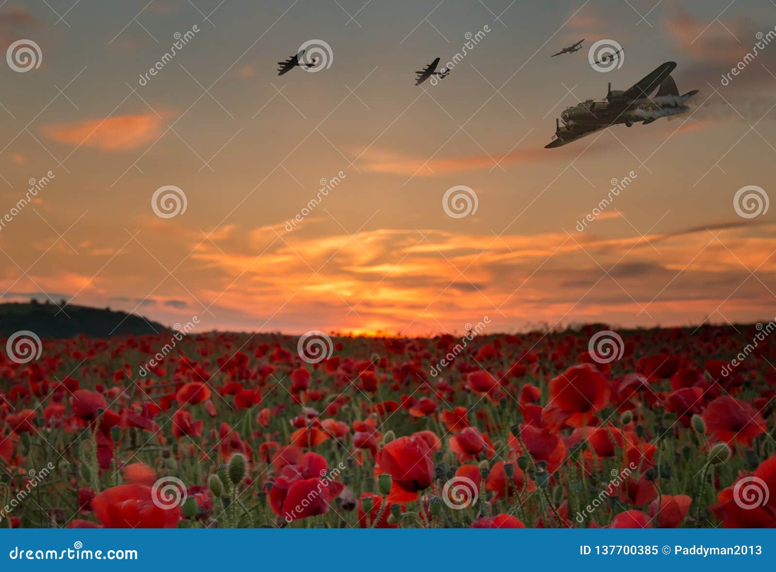 Lest we Forget War Planes Flying Over Red Poppy Field Stock Image - Image  of lancaster, heroes: 137700385