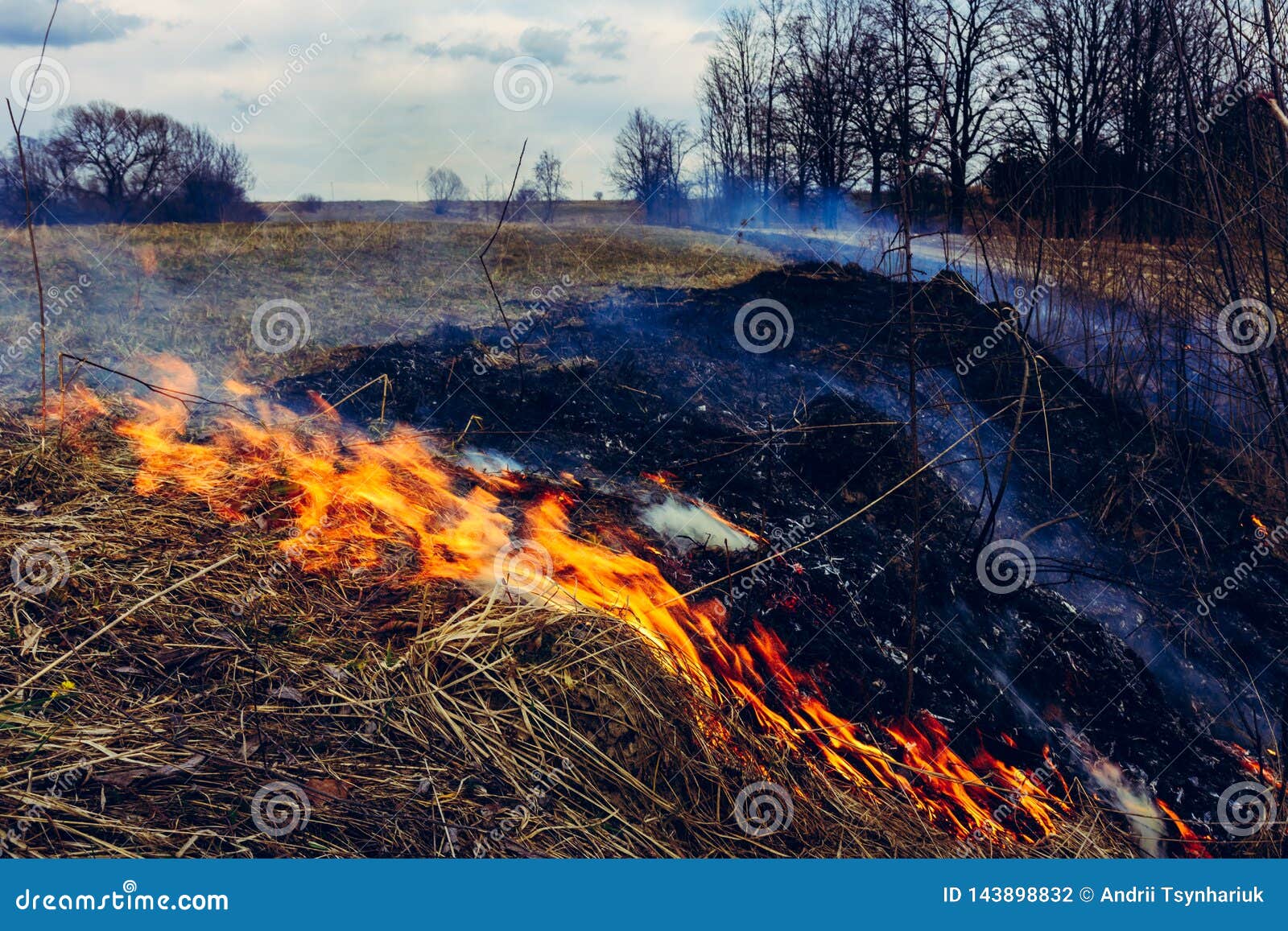 Let S Say Stop Burning Dry Grass, it is Dangerous Stock Photo Image