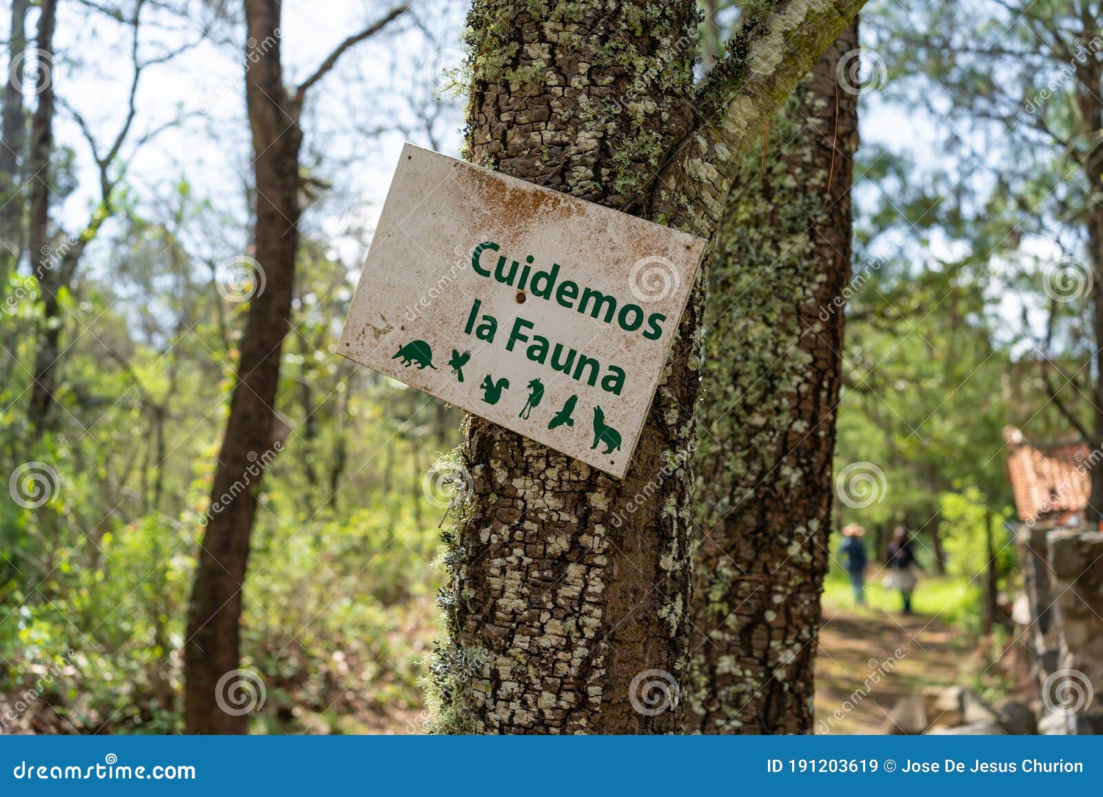 let`s take care of the fauna in the tapalpa forest.