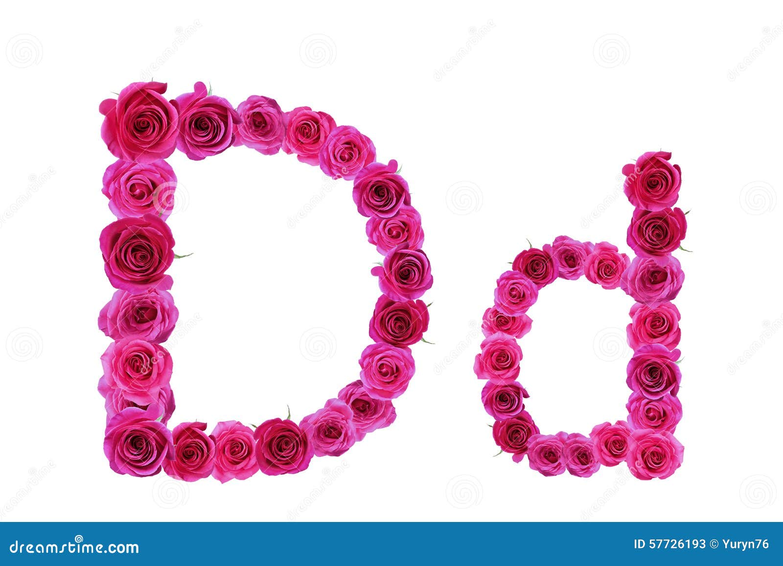 Letra d das rosas imagem de stock. Imagem de rosas, flor - 57726193