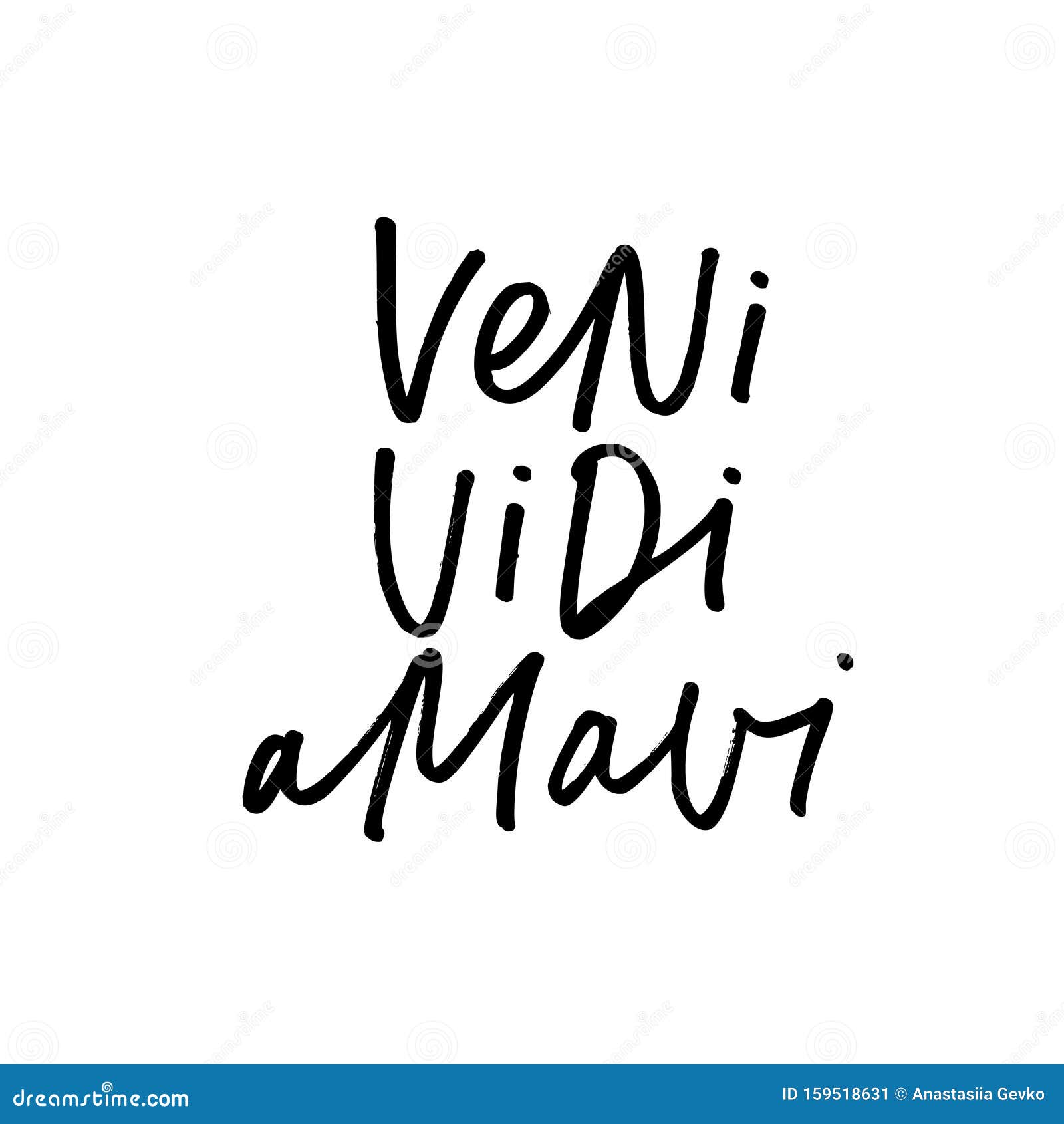 Veni Vidi Vici. Cartaz De Citação Latina. Tradução : Eu Vim Eu Vi