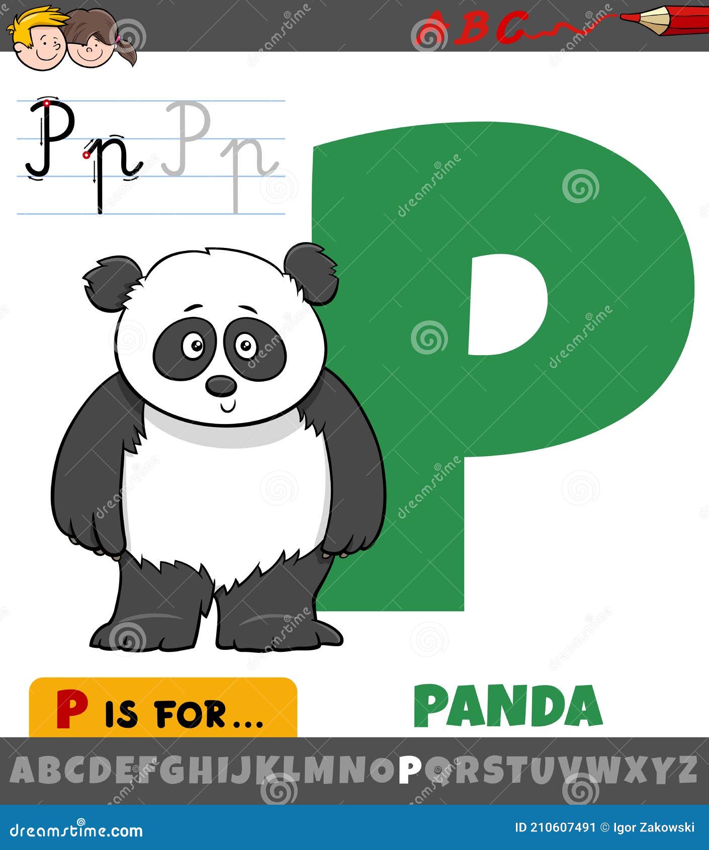 Letra P Del Alfabeto Con Carácter Animal Panda Ilustración del Vector -  Ilustración de juego, educativo: 210607491