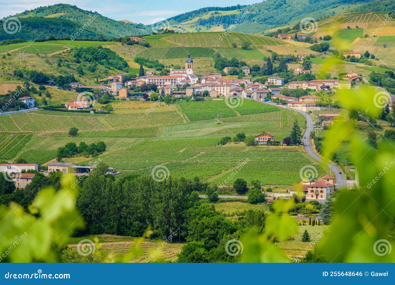 letra village and vineyards landscape in france