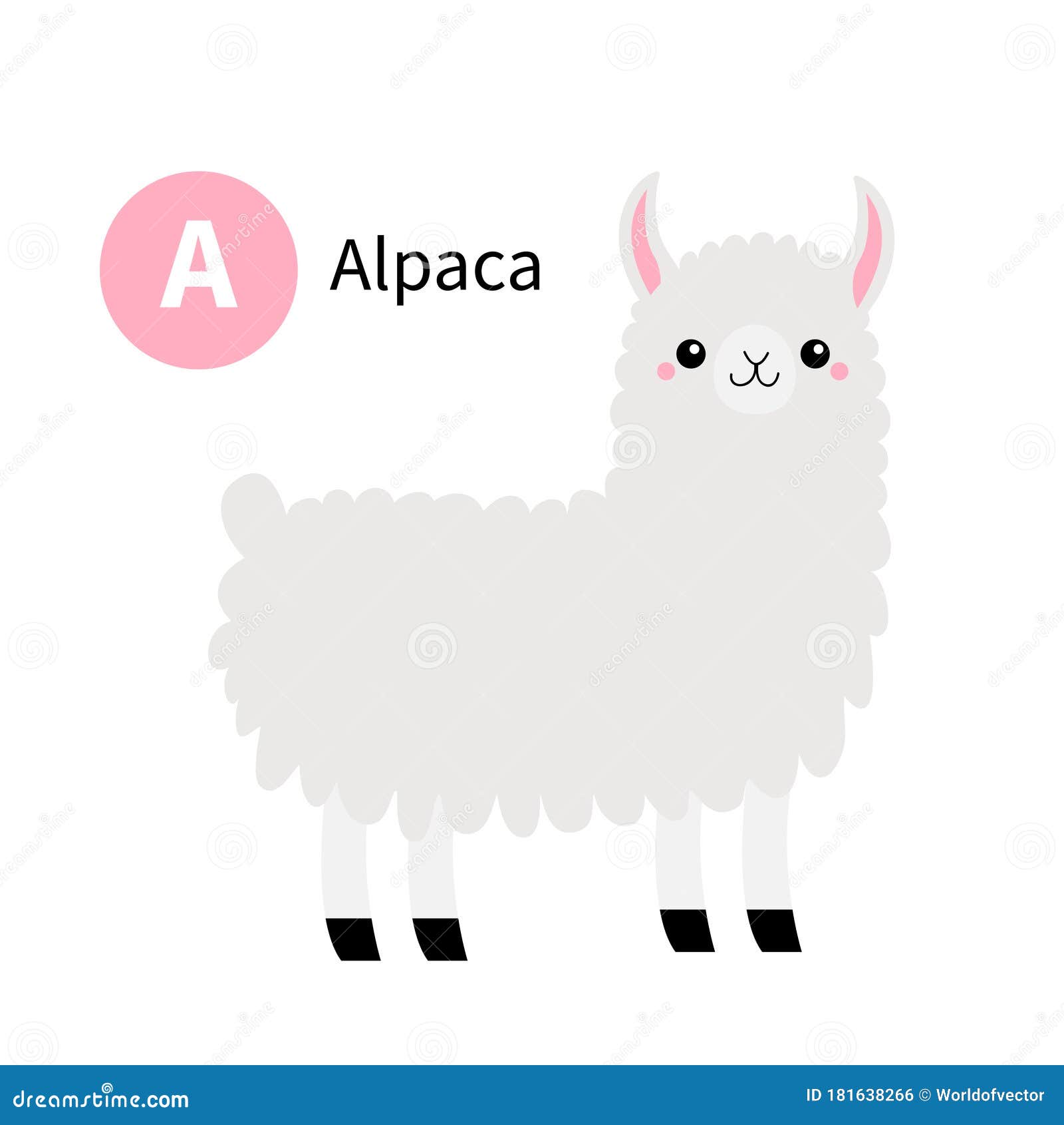 Letter a. Alpaca Llama. Zoo Animal Alphabet. Funny Lama. English Abc with  Cute Cartoon Kawaii Funny Baby Animals Stock Vector - Illustration of cute,  card: 181638266