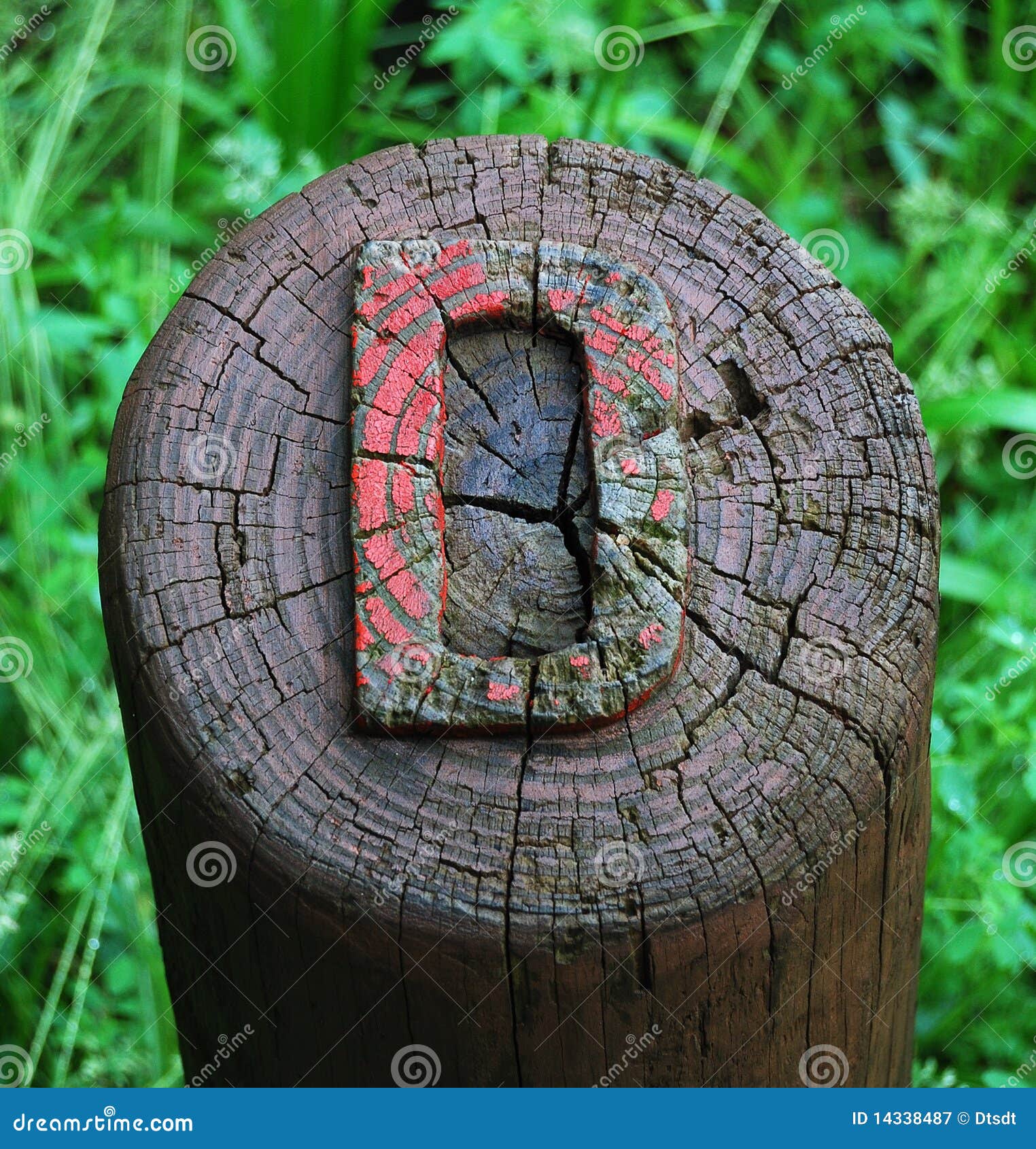 The Letter D stock image. Image of letters, wooden, signs - 14338487