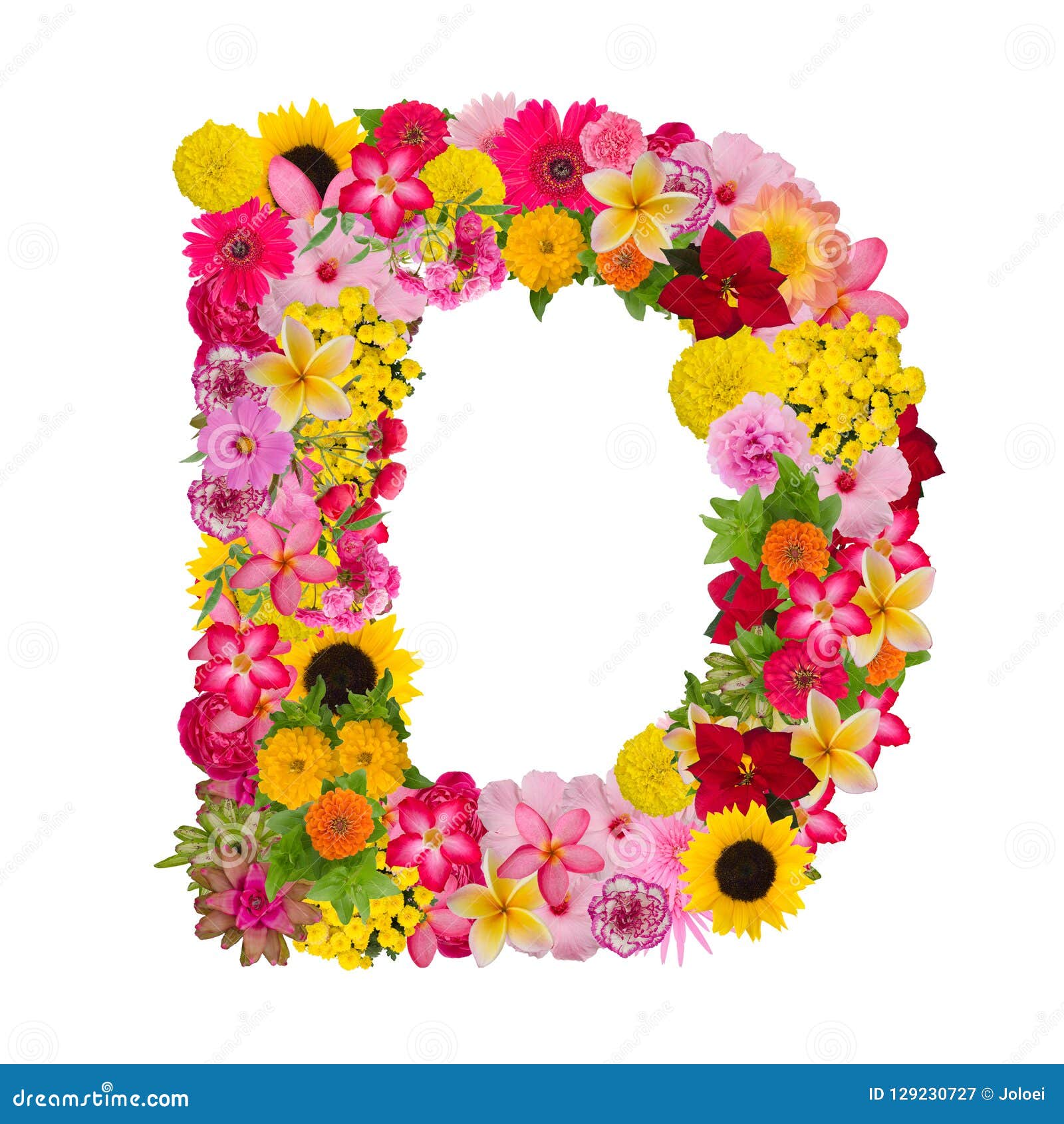 Letter D With Flowers Svg