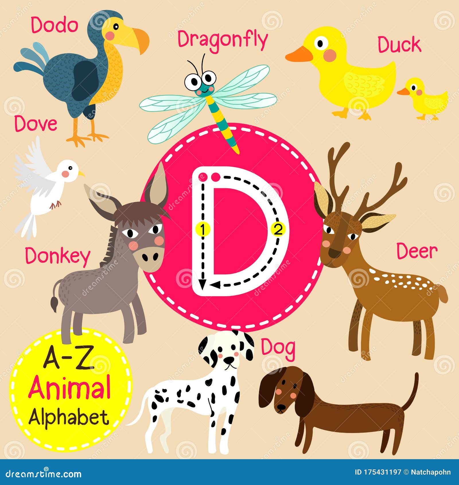 Letter D Tracing. Deer. Dodo. Dog. Donkey. Dove. Dragonfly. Duck Stock ...