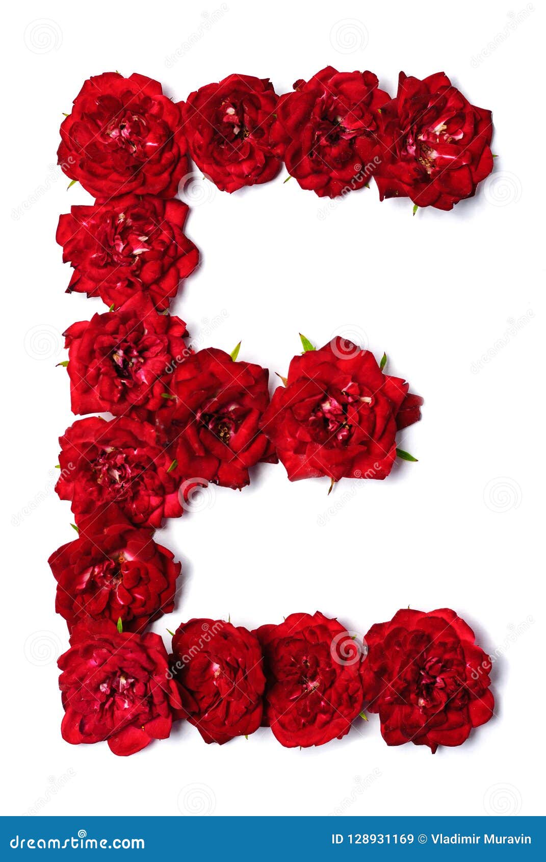 Letter E from Flowers of Red Rose Stock Image - Image of beauty ...