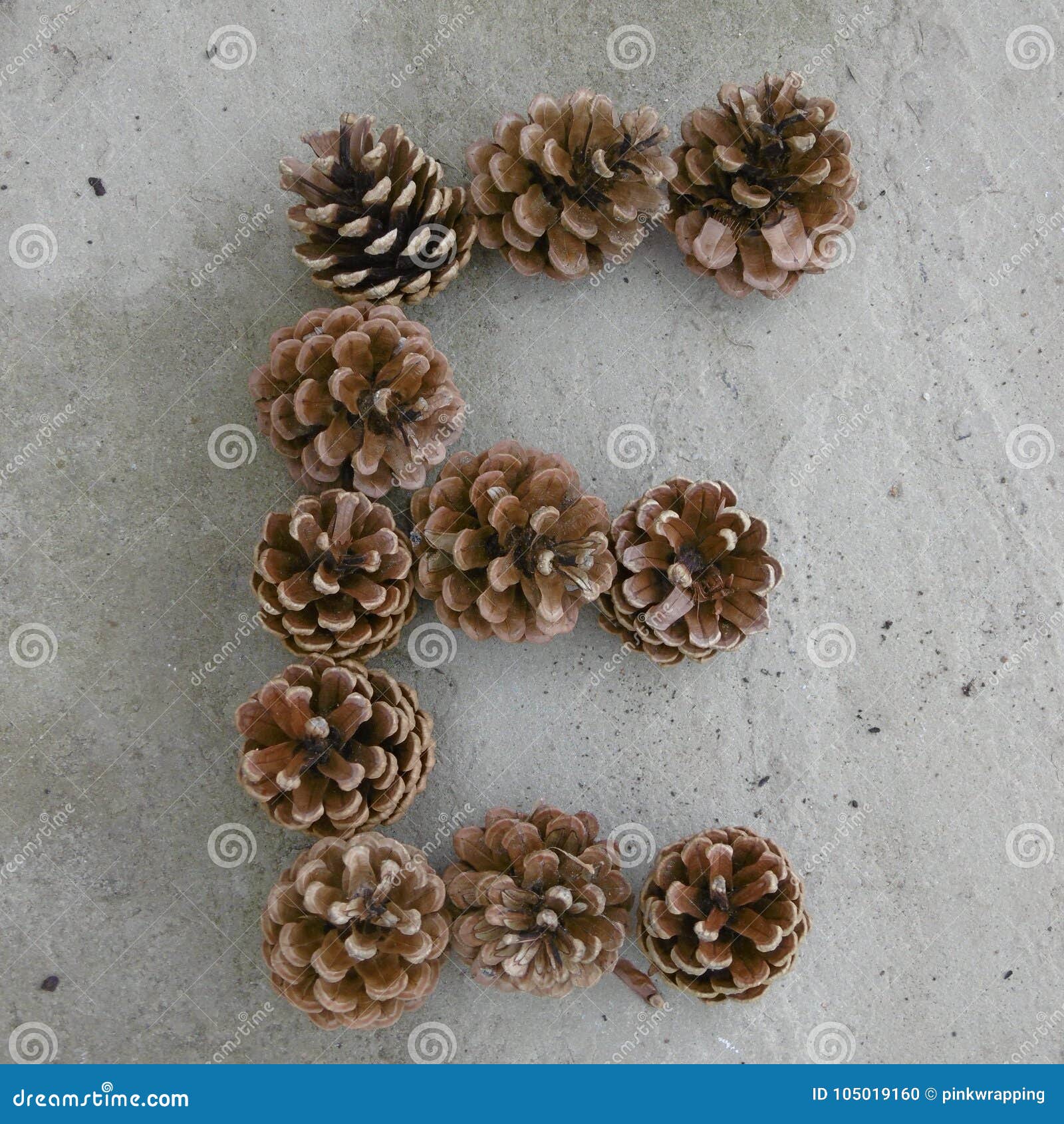 Letter E Made Out Of Pine Cones Stock Photo - Image of concretepaving,  grey: 105019160