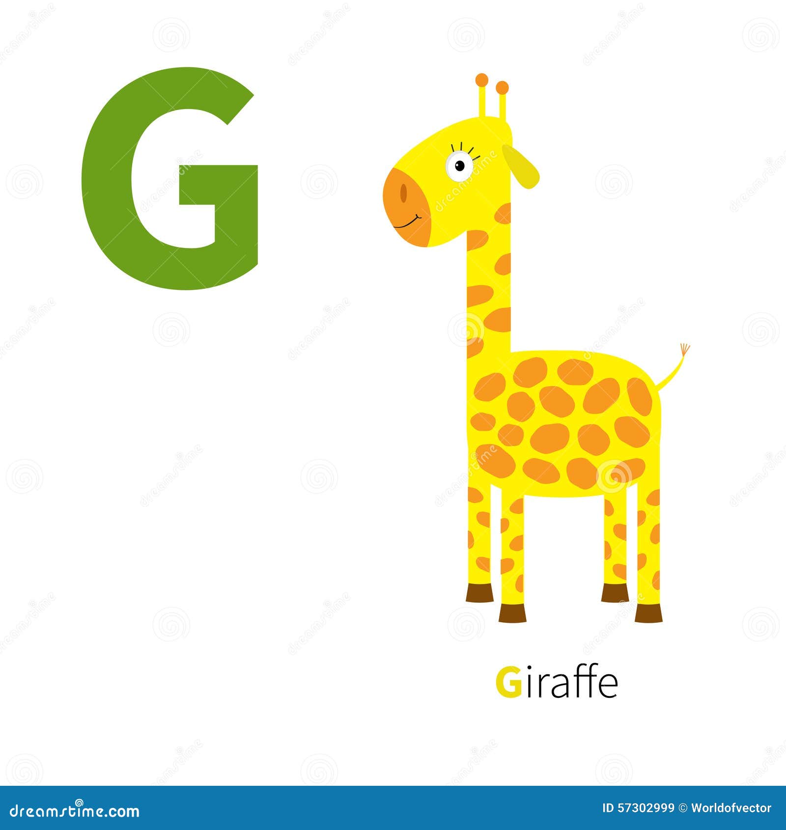 Letter G Giraffe Zoo Alphabet. English Abc with Animals Education Cards for  Kids White Background Flat Design Stock Vector - Illustration of letter,  english: 57302999