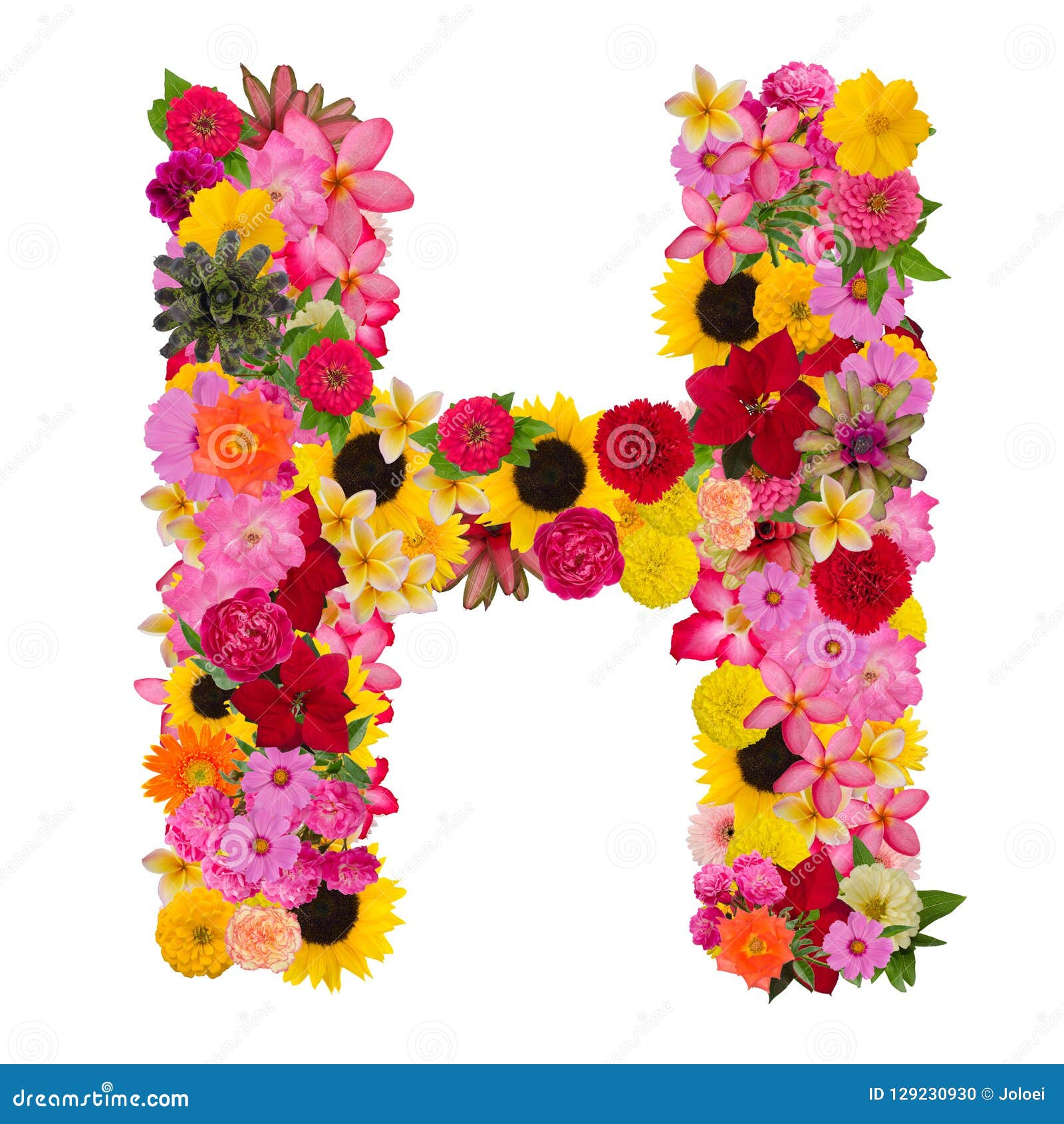 Letter H Alphabet With Flower Abc Concept Type As Logo Isolated Stock Photo  - Image Of Green, Alphabet: 129230930