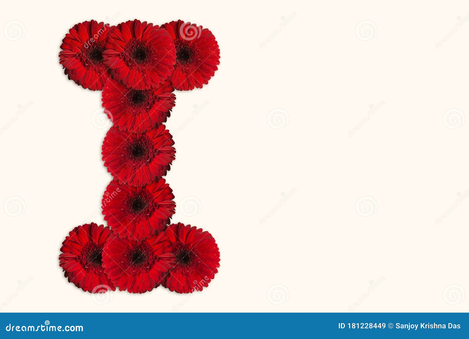 Letter I Daisy Flower Alphabet on Isolated Background. Decorative