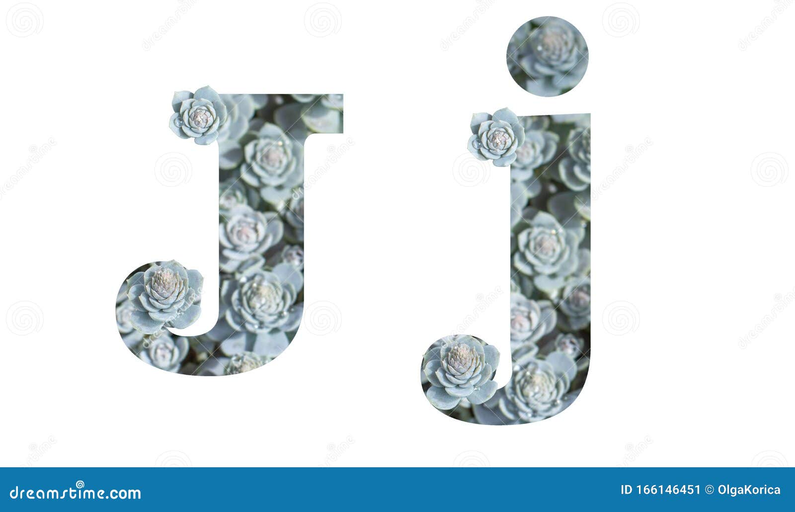 Letter J Uppercase And Lowercase Isolated On A White Background English Alphabet Decorated Stock Image Image Of Creative Chinese 166146451