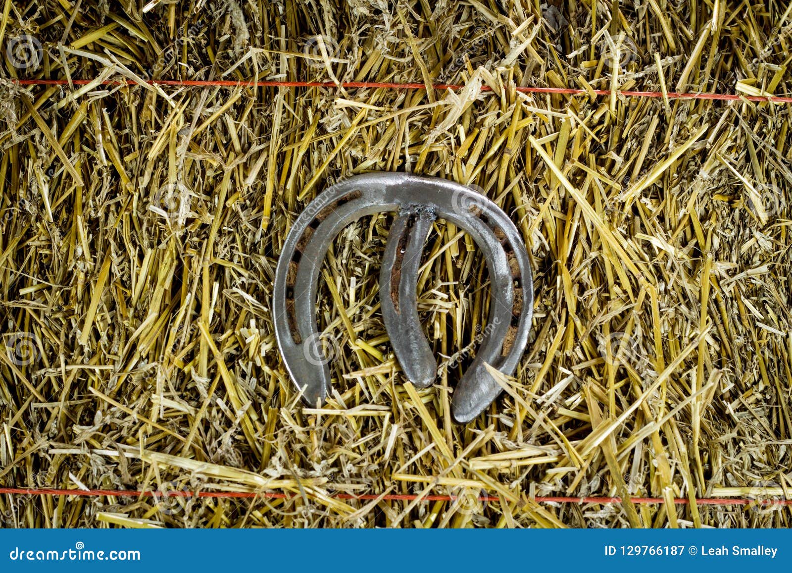 Letter M Steel Horseshoe on Straw Stock Image Image of horseshoe