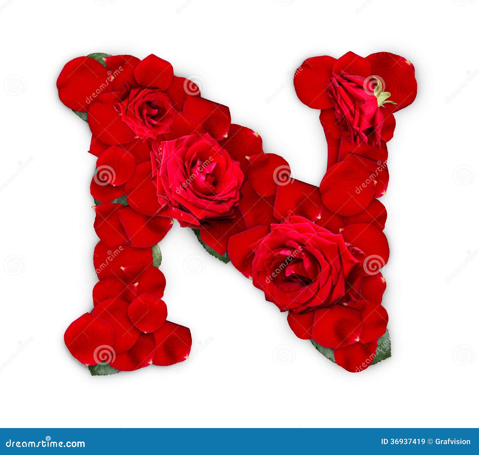 Letter N Stock Image Image Of Flora Concept Valentine 36937419
