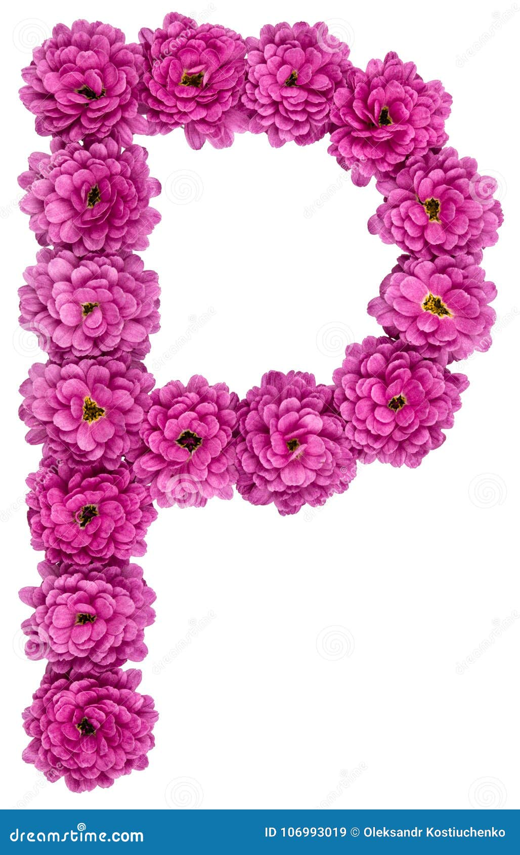 Letter P, Alphabet from Flowers of Chrysanthemum, Isolated on ...