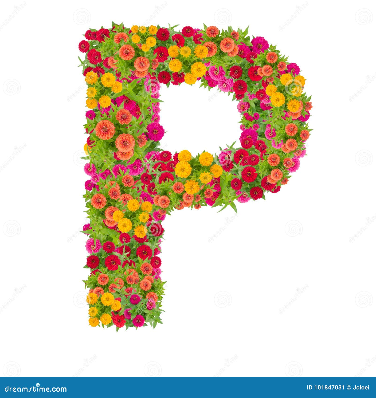 Letter P Alphabet Made from Zinnia Flower Stock Image - Image of ...