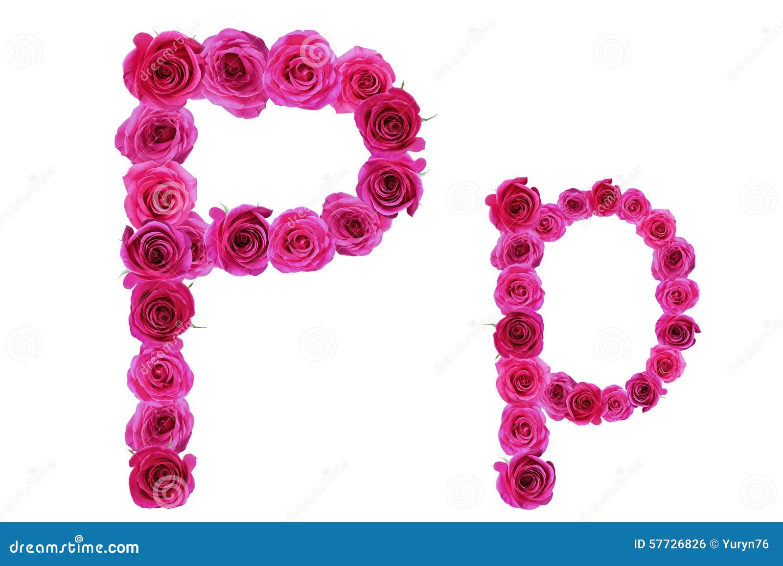 The letter p from roses stock photo. Image of nature - 57726826